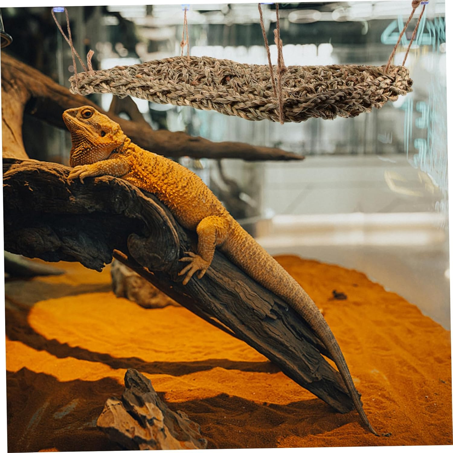 Sosoport Reptile Hammock Lizard Lounger Hanging Bed with Suction Cups 28.5X20Cm Seagrass Mesh Small Pet Grass Mat for Terrariums and Small Animals image number 5