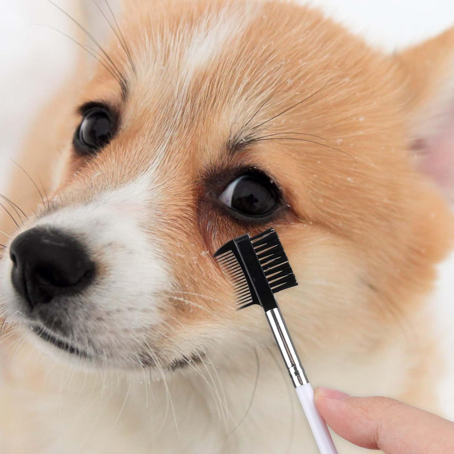 4Pcs Pet Tear Stain Remover Combs, Double-Head Dog Tear Comb Dog Eye Brush Dog Eye Cleaning Comb Brush Dog Facial Grooming Comb for Small Pet image number 1