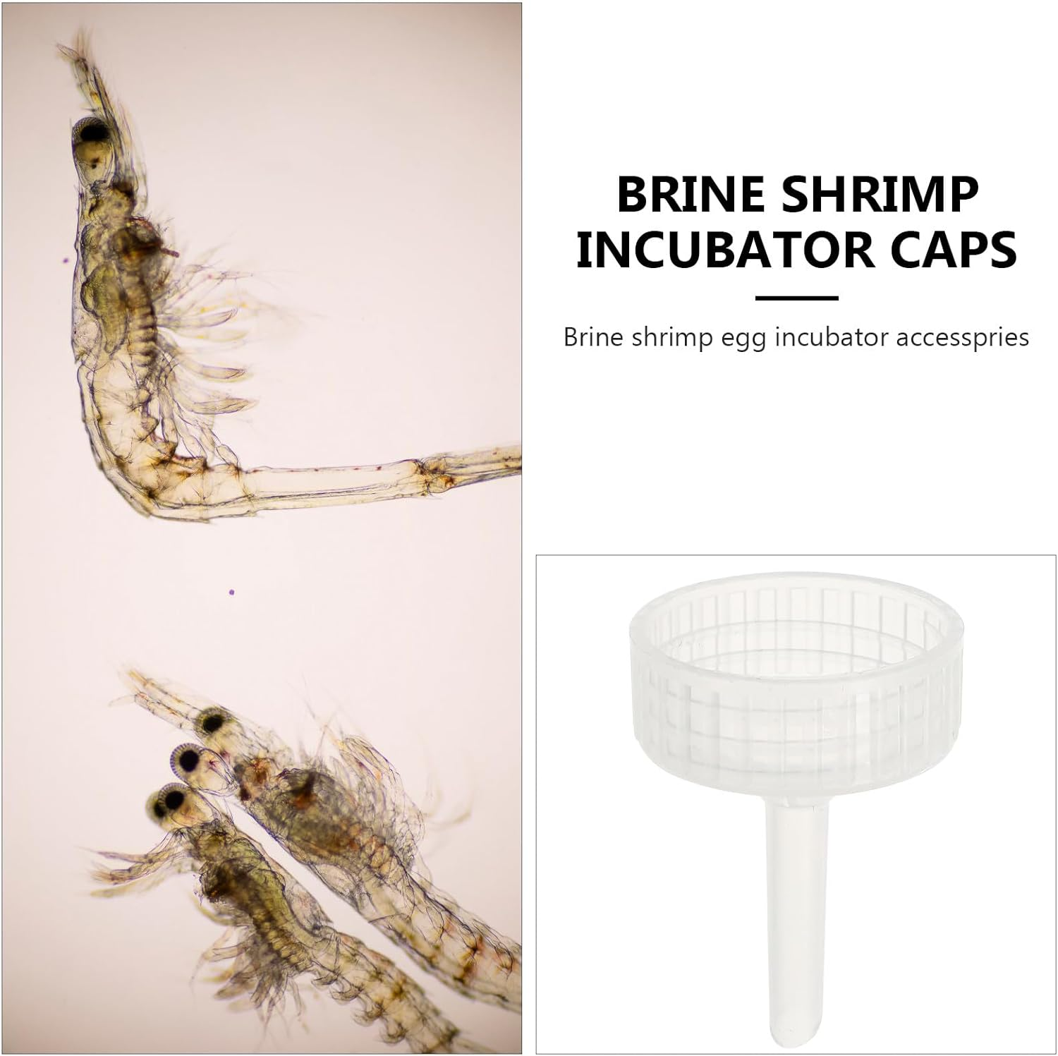 HOLIDYOYO 20Pcs DIY Brine Shrimp Incubator Bottle Caps for Aquarium Shrimp Egg Hatchery, Aquarium Breeding Tank Supplies for Fish Aquatic Pets image number 3