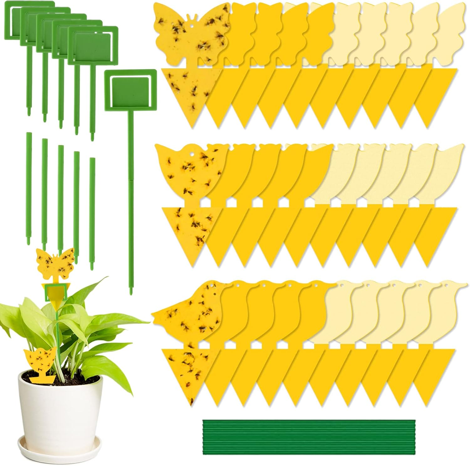 Gnat Trap Sticky Traps Dual Sided Yellow with Cable Ties Sticky Fly Trap for Mosquitos Fungus Gnats Flying Insects Ect Indoor and Outdoor Protect the Plant Non Toxic and Odorless 30Pcs Gnat Trap image number 6