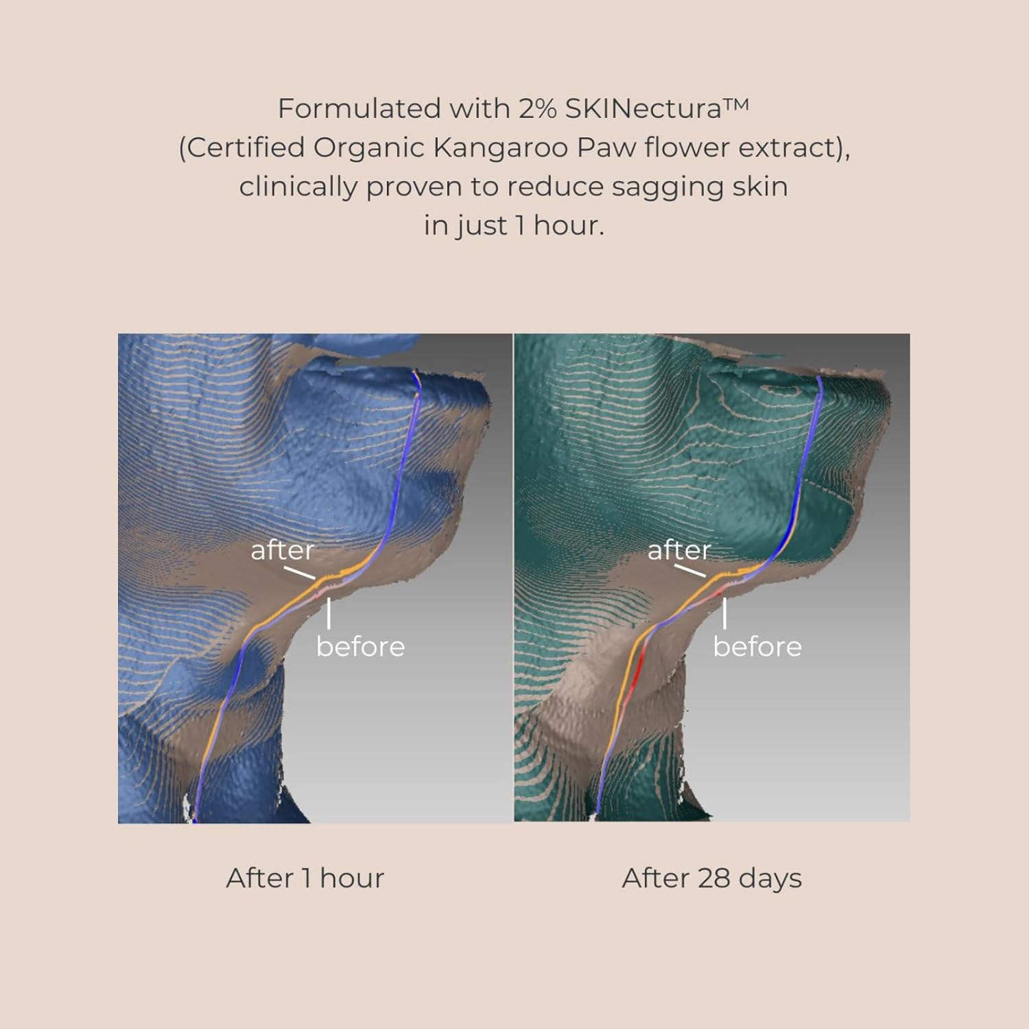 INIKA Organic Pure Perfection Primer | Smooth Dewy Finish. Clinically Proven to Boost Hydration + Reduce Wrinkles. Skincare Enriched. Extend Makeup & Create a Flawless Base. 30Ml