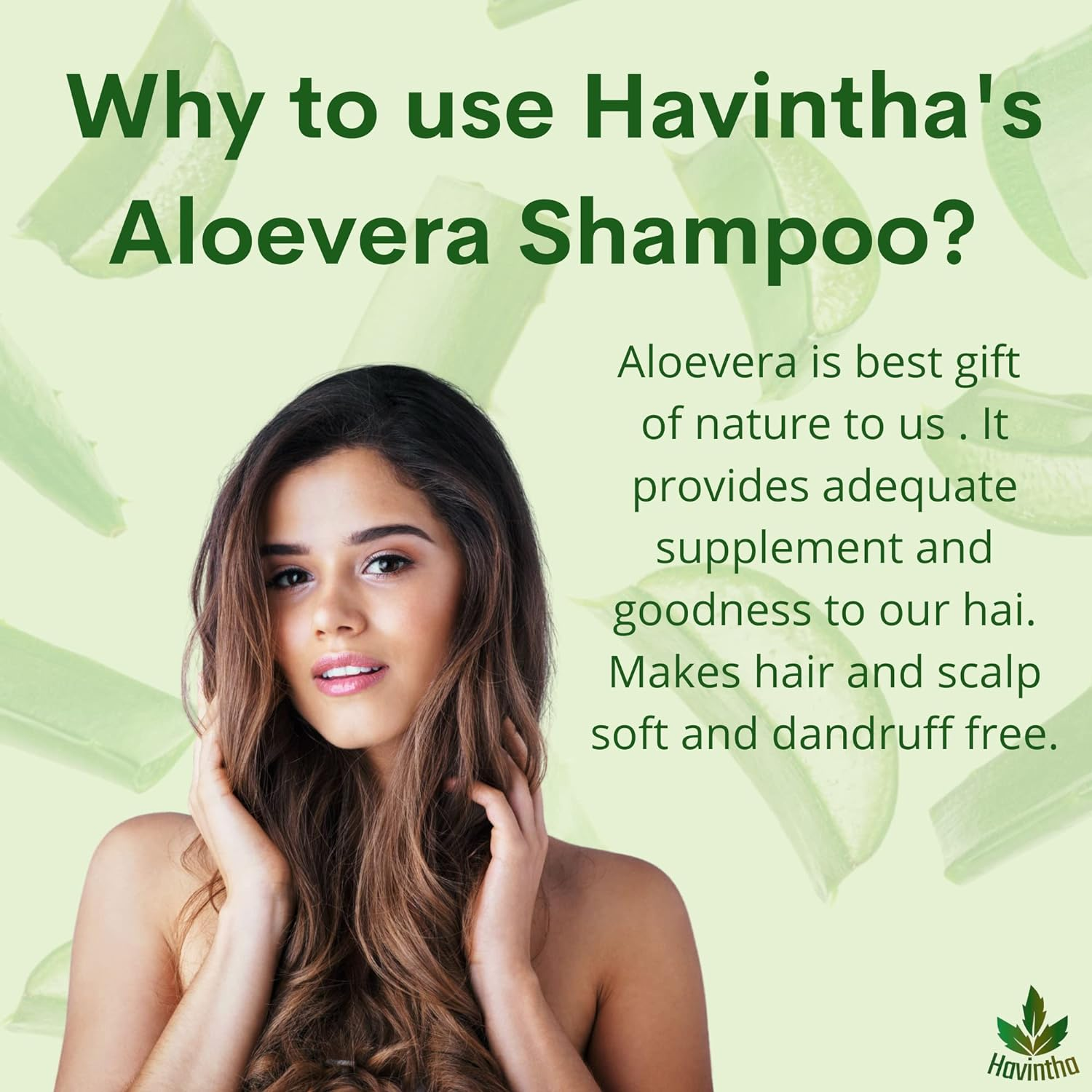 Havintha Natural Amla Reetha Shikakai and Aloevera Powder Shampoo for Oily Hair - 227G