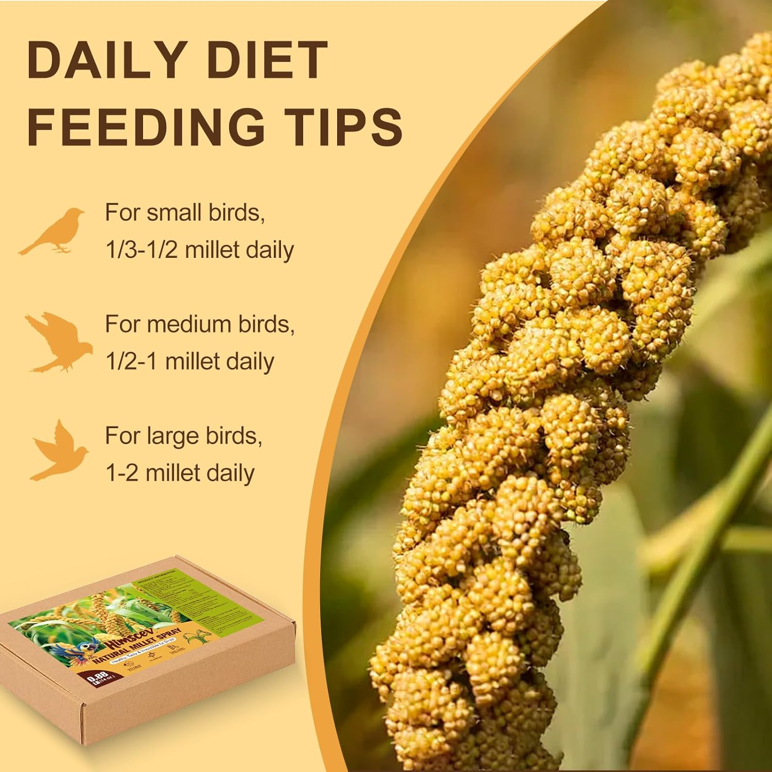 Millet Treat for Birds, Natural Sun-Dried with Stems and Edible Tops for Parakeet, Cockatiel, Budgie, Finches, Parrots, Hamster, Bird Treat image number 1