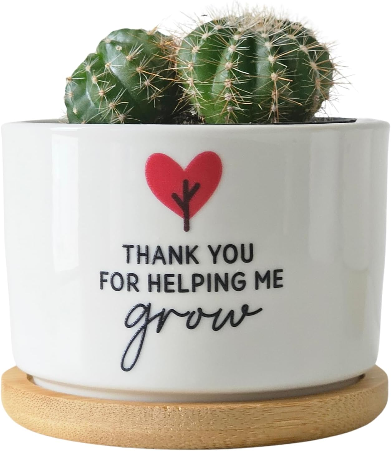 Ceramic Planter Pot with Bamboo Saucer, Thank You for Helping Me Grow Heart Design, Ideal for Succulents, Cacti, and Mini Plants, Teacher Gift image number 1