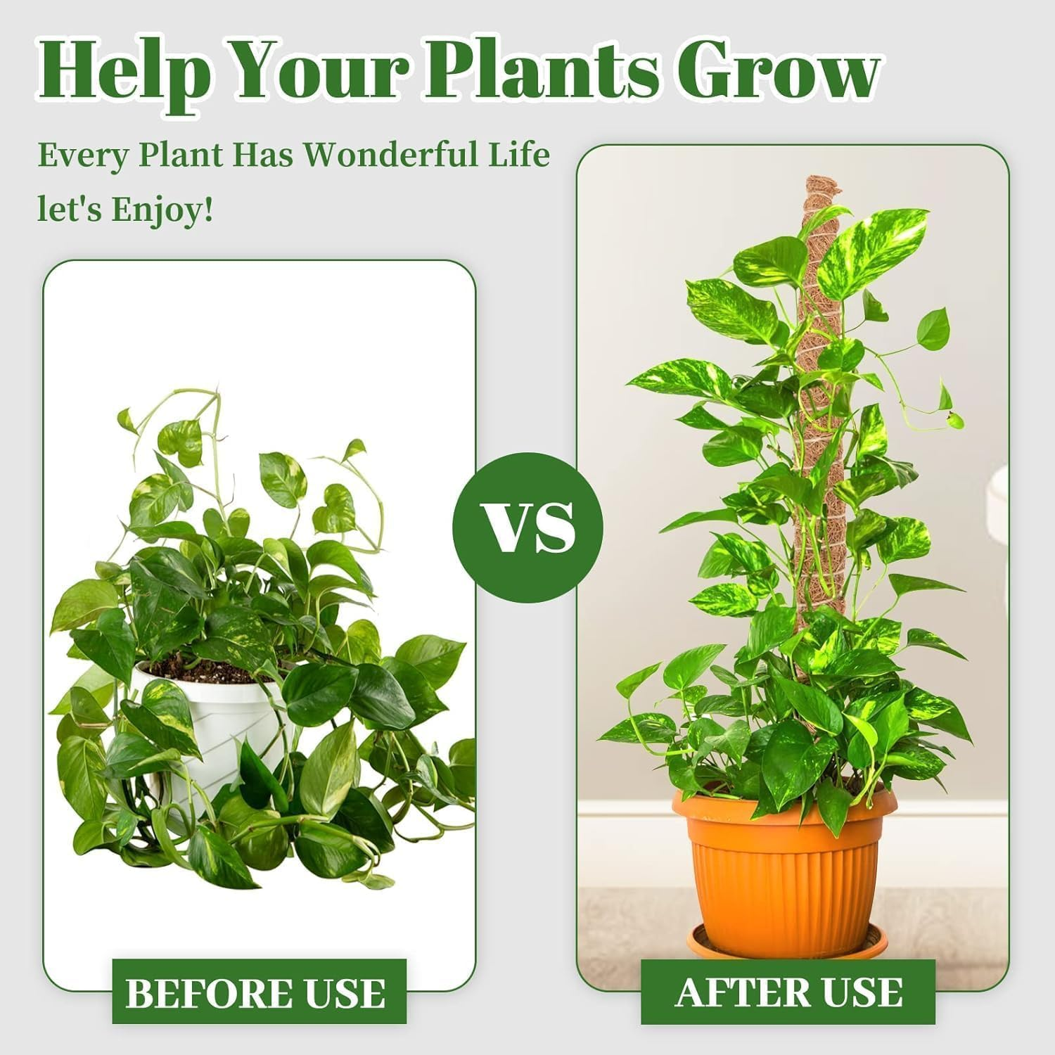 Plants Moss Pole Support, 2PCS 120Cm Bendable Vines Stakes, Flexible Ferns Climber Post, Customizable Coco Coir Rod Seedling Uphold for Monstera, Platycerium & Philodendrons Growth (120CM) image number 5