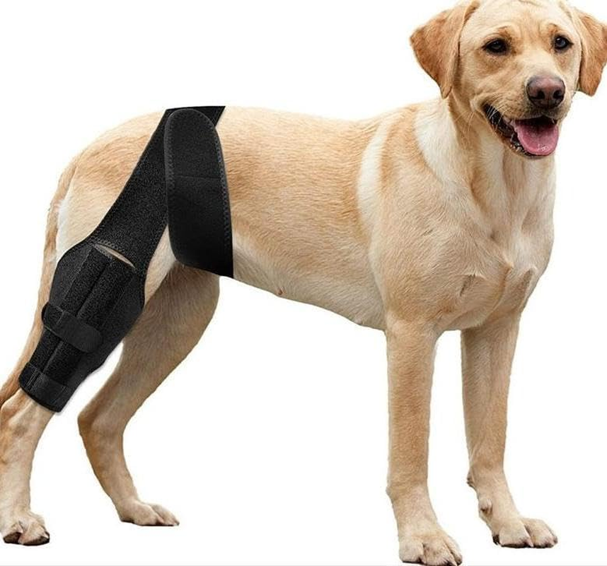 Dog Knee Brace for Torn ACL Hind Leg, Dog Leg Support with Metal Support, ACL Support for Dog Hind Leg Tear CCL, Arthritis, Knee Dislocation (M, Black) image number 5
