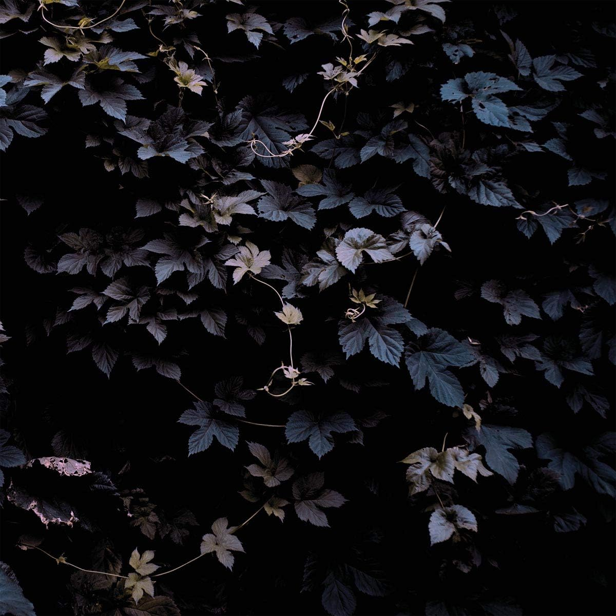 Vivid Flu image number 1