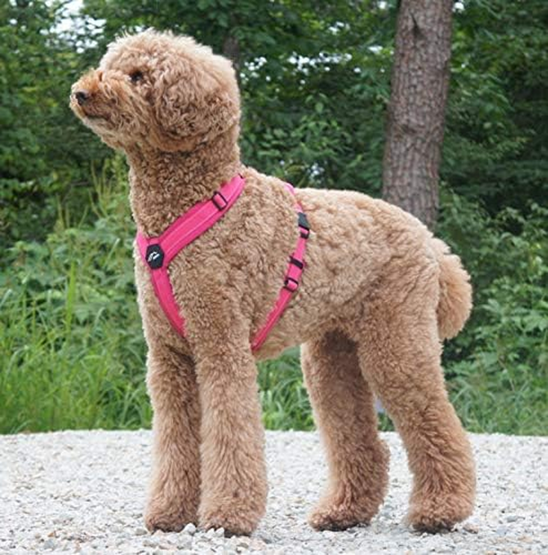 Hakusan Zero Harness, Burden Reduction, Dog Harness, Adjustable Size, Easy to Put on and Take Off, Reflective Material, Lightweight, Breathable, Handle, Nameplate, XXS Size, Pink X Pink image number 6