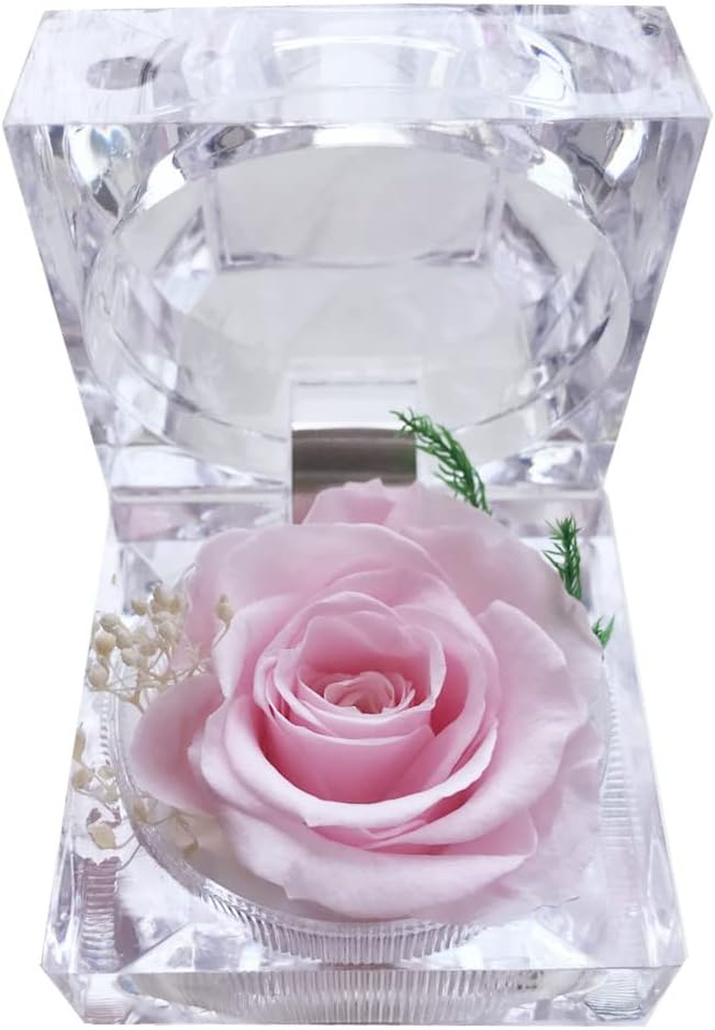 Preserved Rose Real Forever Rose in Mini Clear Ring Box, Eternal Flower Rose Gifts for Women Mom Girlfriend Grandma, Mothers Day, Anniversary, Valentines, Christmas, Birthday (Pink)