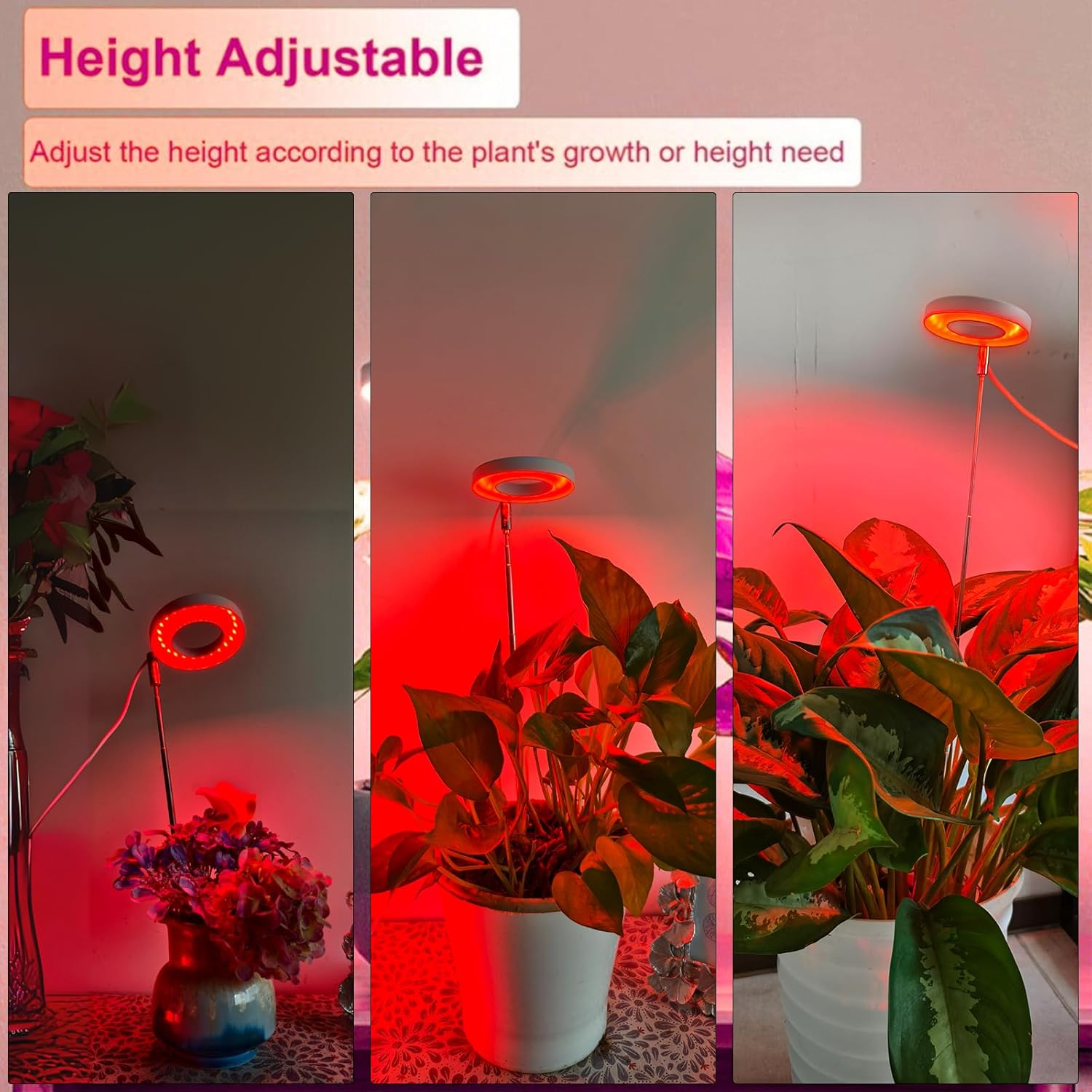 Begrit Grow Light for Indoor Plants: Dual Light Heads & One Master Controller, 3 Spectrum Modes, 10-Level Dimming, 3/9/12H Auto Timer for Seed Starting, Houseplants. (Halo) image number 3