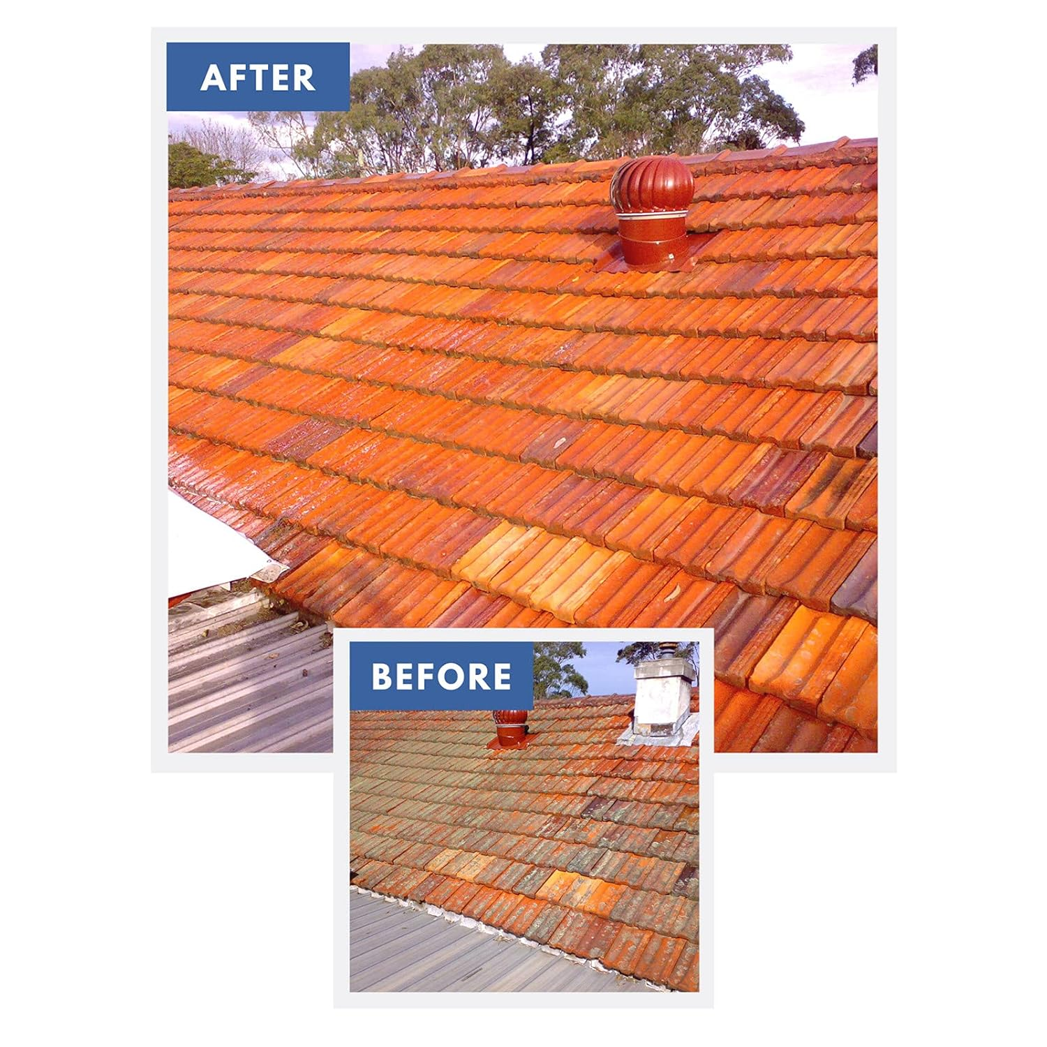 Wet & Forget Rapid Application 2L Moss and Mould Remover