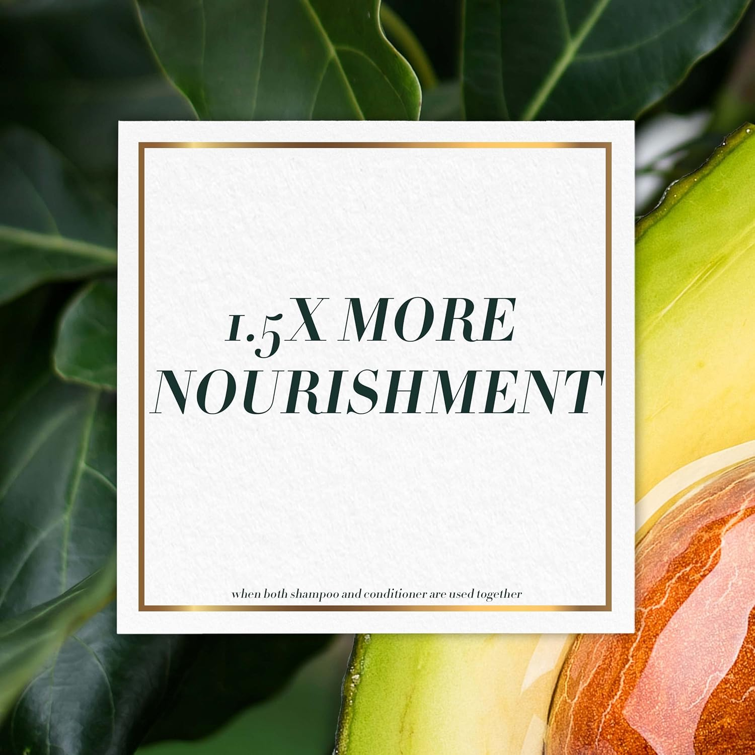 Herbal Essences Bio, Renew Potent Aloe + Avocado Oil Hair and Scalp Shampoo 400Ml image number 5