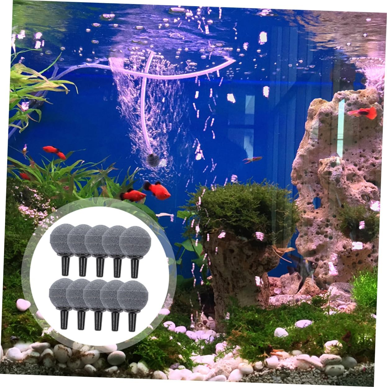 POPETPOP 50Pcs round Air Stones for Fish Tank Aquarium Bubble Diffuser Tiny Oxygen Bubbles Durable Aeration Supplies for Hydroponics and Fish Breeding image number 4