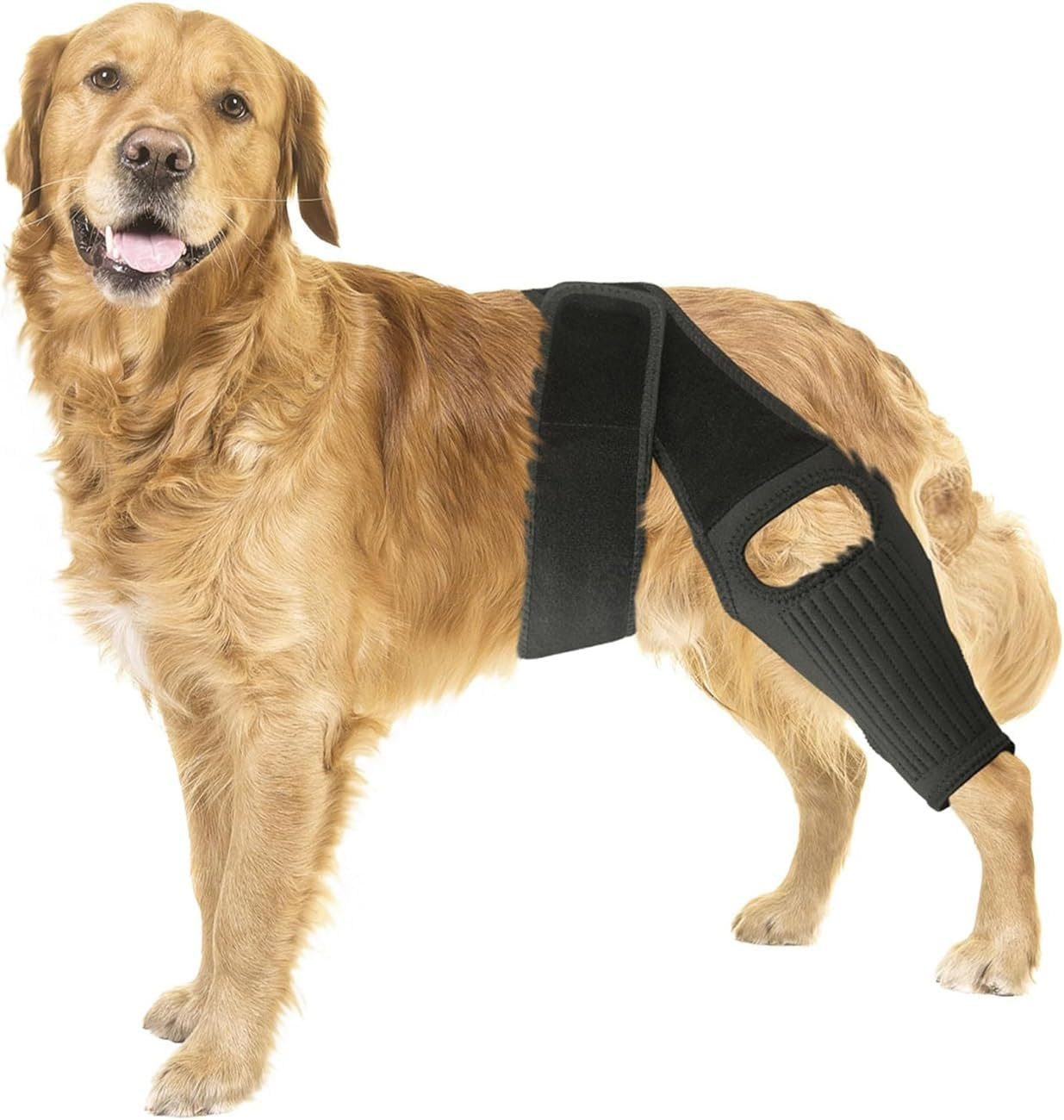 Hind Leg Dog Knee Brace, Cruciate Ligament Care Knee Brace for Dog Hind Legs, Strong Support ACL Support, Reduces Joint Pain and Muscle Soreness, with Side Stabilizer (L, Black) image number 5