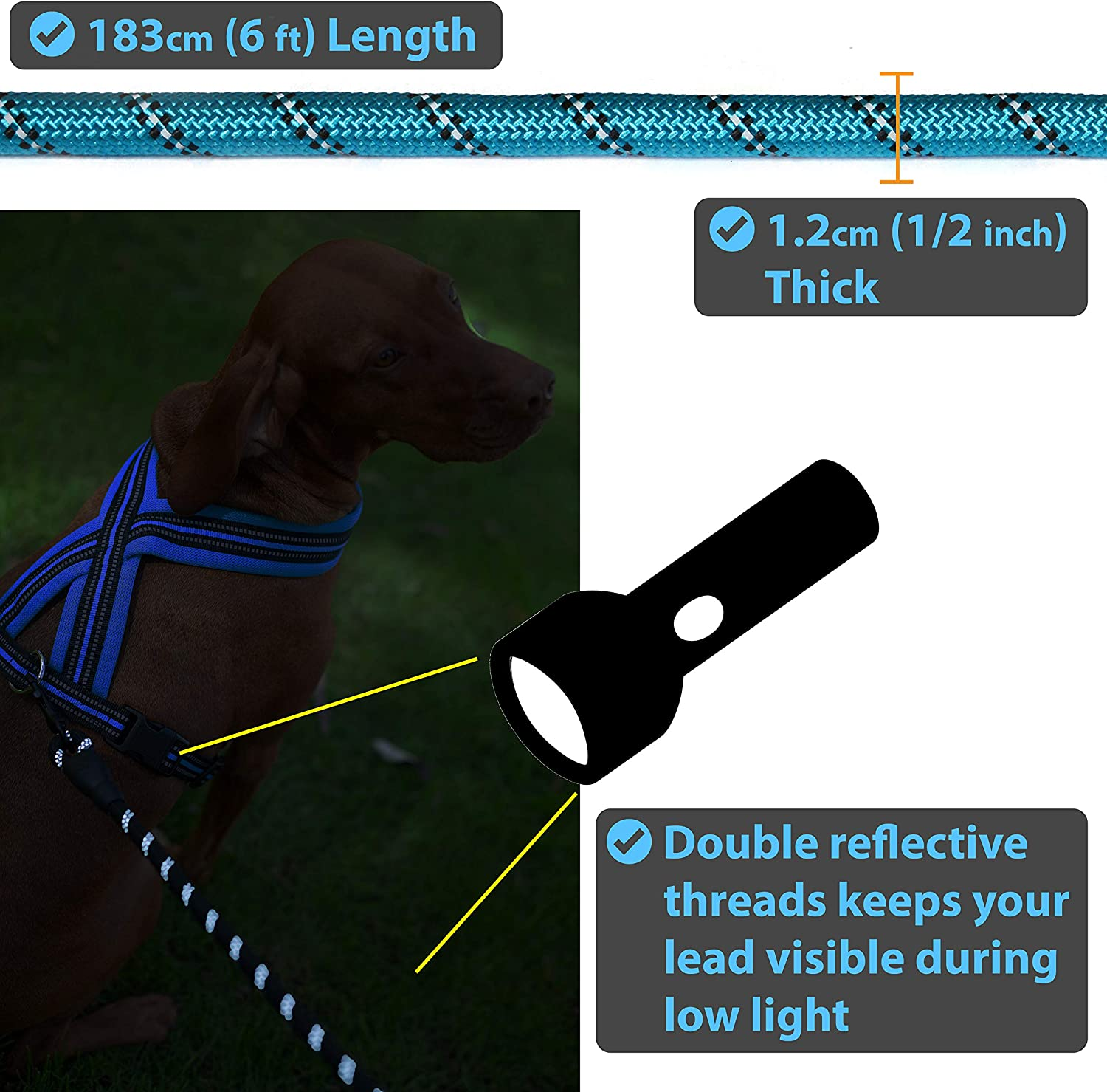 Zenify Pets Dog Lead - Durable Strong Chew Resistant Slip Lead Nylon Rope Padded Handle Mountain Climbing Harness Pet Puppy Training Slipknot Leash for Walking [1.2Cm Thick 183Cm Long] (Blue 6Ft)&hellip; image number 4