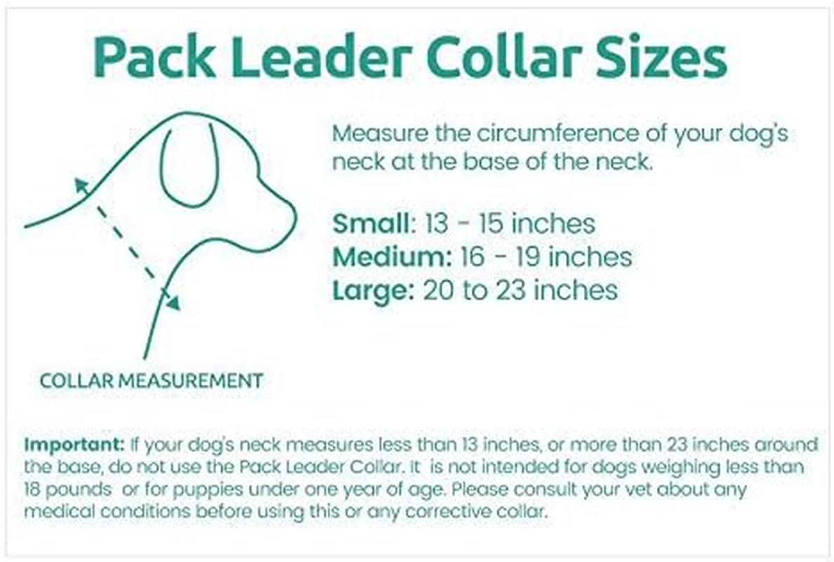 Cesar Millan Pack Leader Collar&trade; - Training Collar of the Dog Whisperer (Large, Grey) image number 2