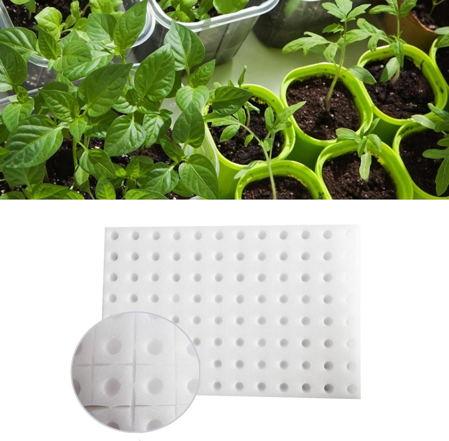 LJCM Hydroponic Sponge, Soilless Cultivation Seedling Sponges, White, 30X20X2.5Cm, 96Pcs Blocks image number 1