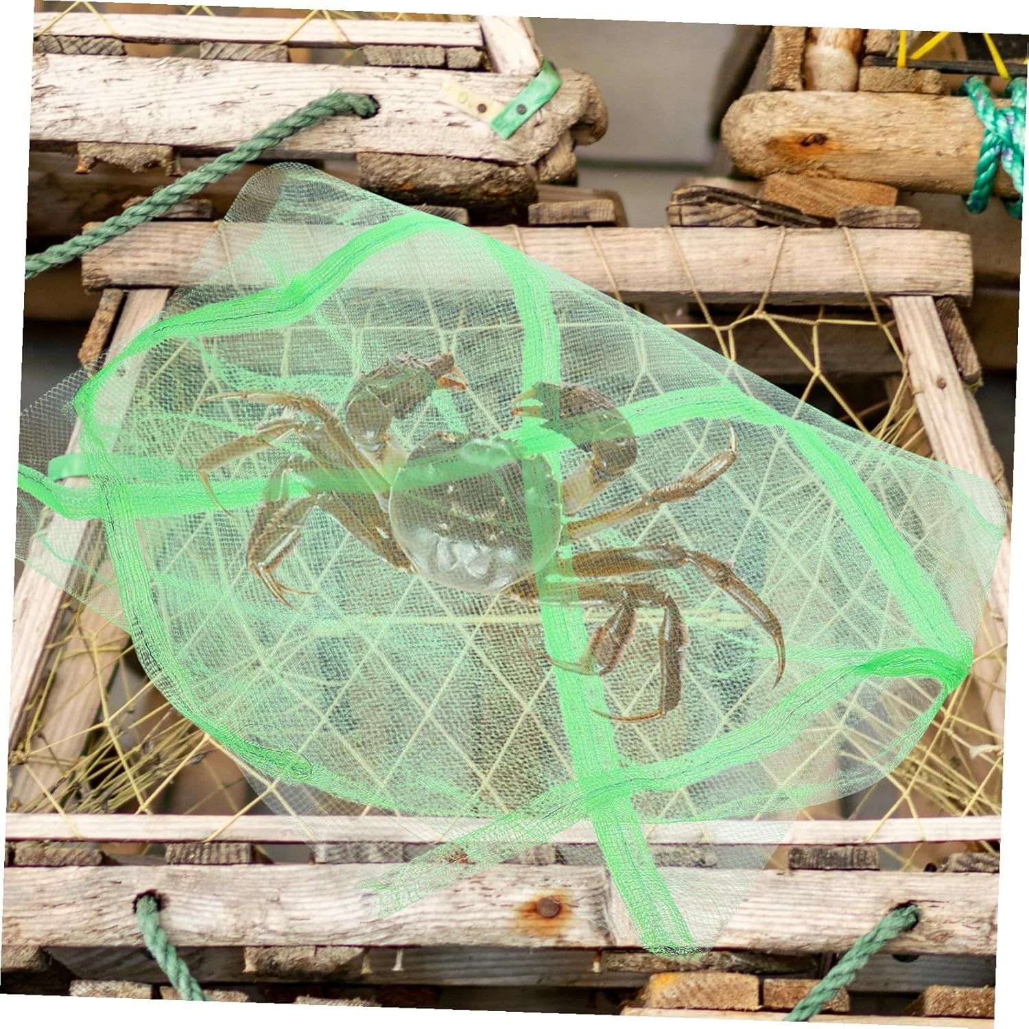 SEWACC 10Pcs Portable Crab Net Bags with Drawstring Quick-Dry Mesh Fishing Nets for Saltwater Crabbing Outdoor Storage Lightweight Breathable Bags for Fish and Seafood image number 2