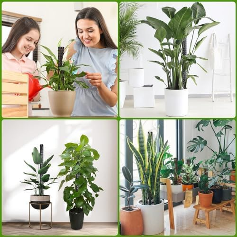 MLUOTALY Plastic Moss Poles for Climbing Plants, Indoor Plants Hollow Plant Pole with Labels and Garden Ties, Stackable Plant Support Stakes for Indoor Plants, Monstera, Vines (4PCS) - 4Pcs image number 6
