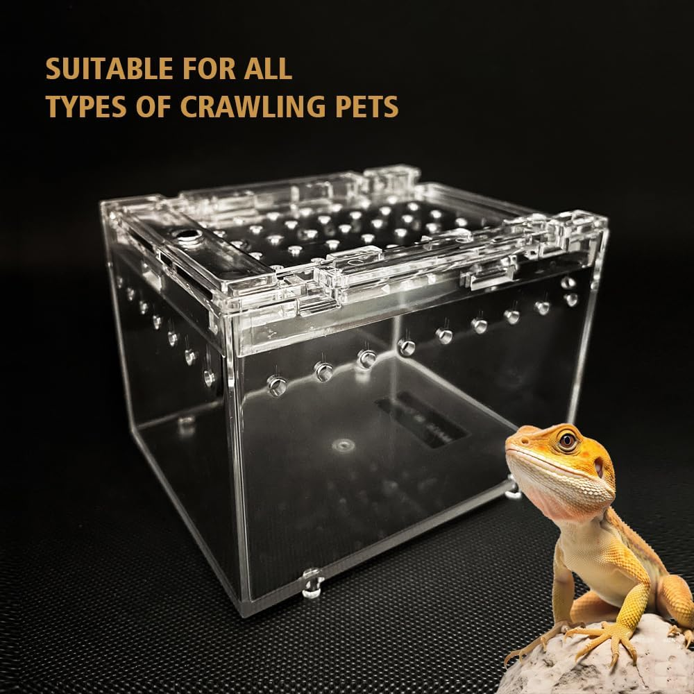 Transparent Reptile Pet Box10 X 8 X 7&middot;5 Cm image number 1