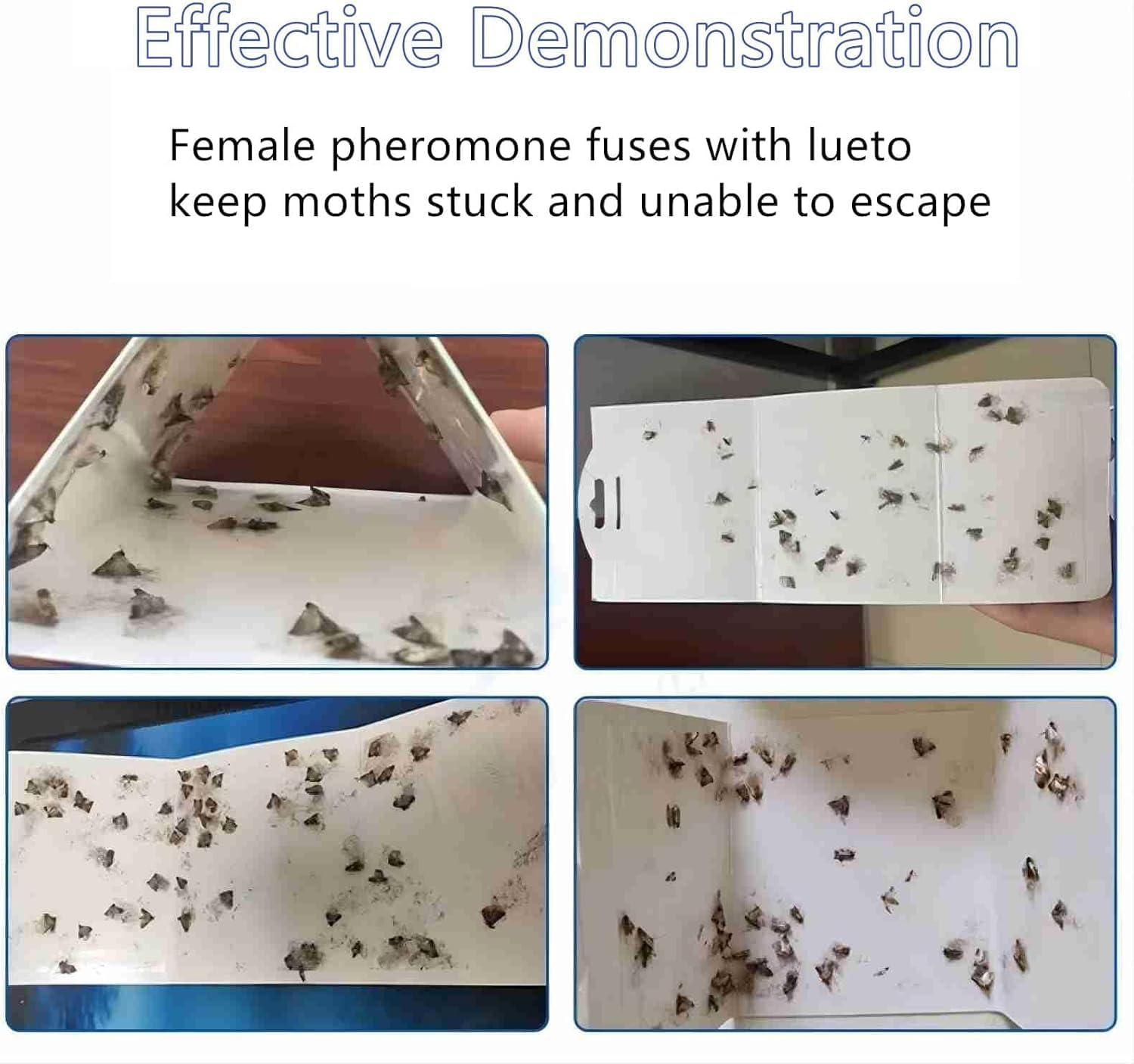 AUPOINT 4 Pack Clothes & Pantry Moth Traps, Pheromone Moth Killer, Indoor Efficient and Safety Non-Toxic Sticky Glue Traps