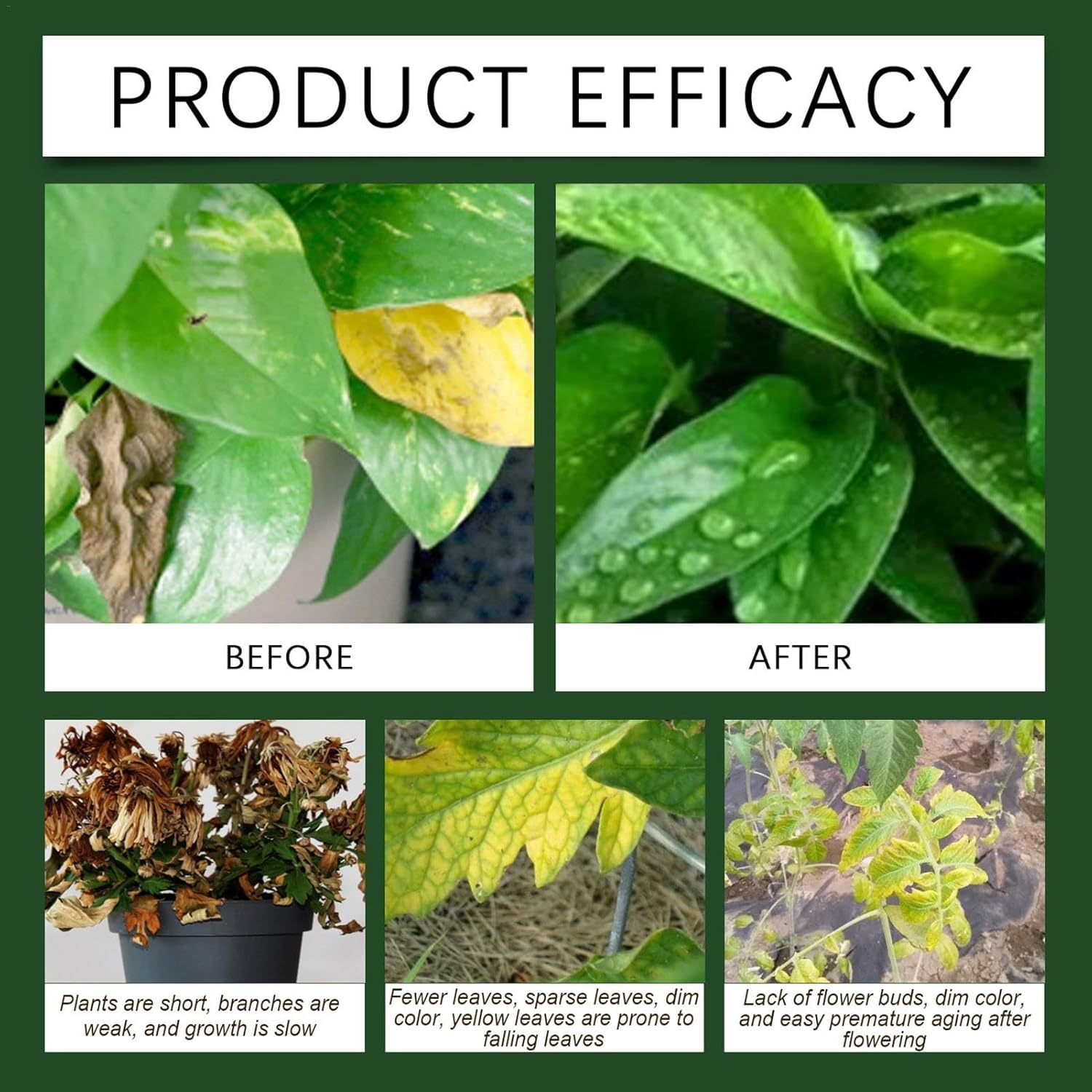 Plant Growth Promoter - 100G Plant Enhancer Nutrient Powder,Balanced Formula Planting Tool for Hydroponics, Mixed Culture, and Soil Culture image number 6