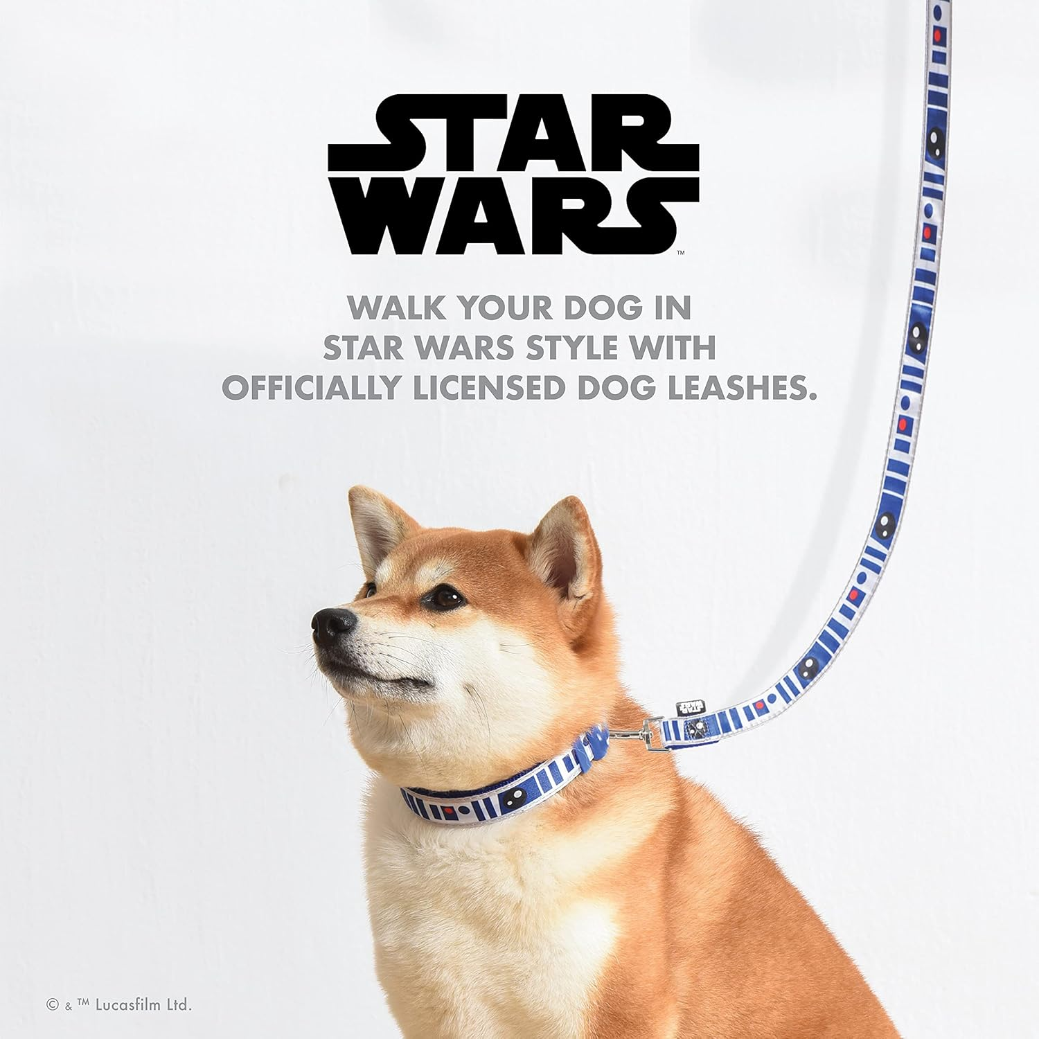 Star Wars for Pets R2D2 Droid 6 Foot Dog Leash | 6 Ft Dog Leash Easily Attaches to Any Dog Collar or Harness | R2D2 Blue Nylon Dog Leash 72 Inches for All Dogs,Multi,Ff16655 image number 1