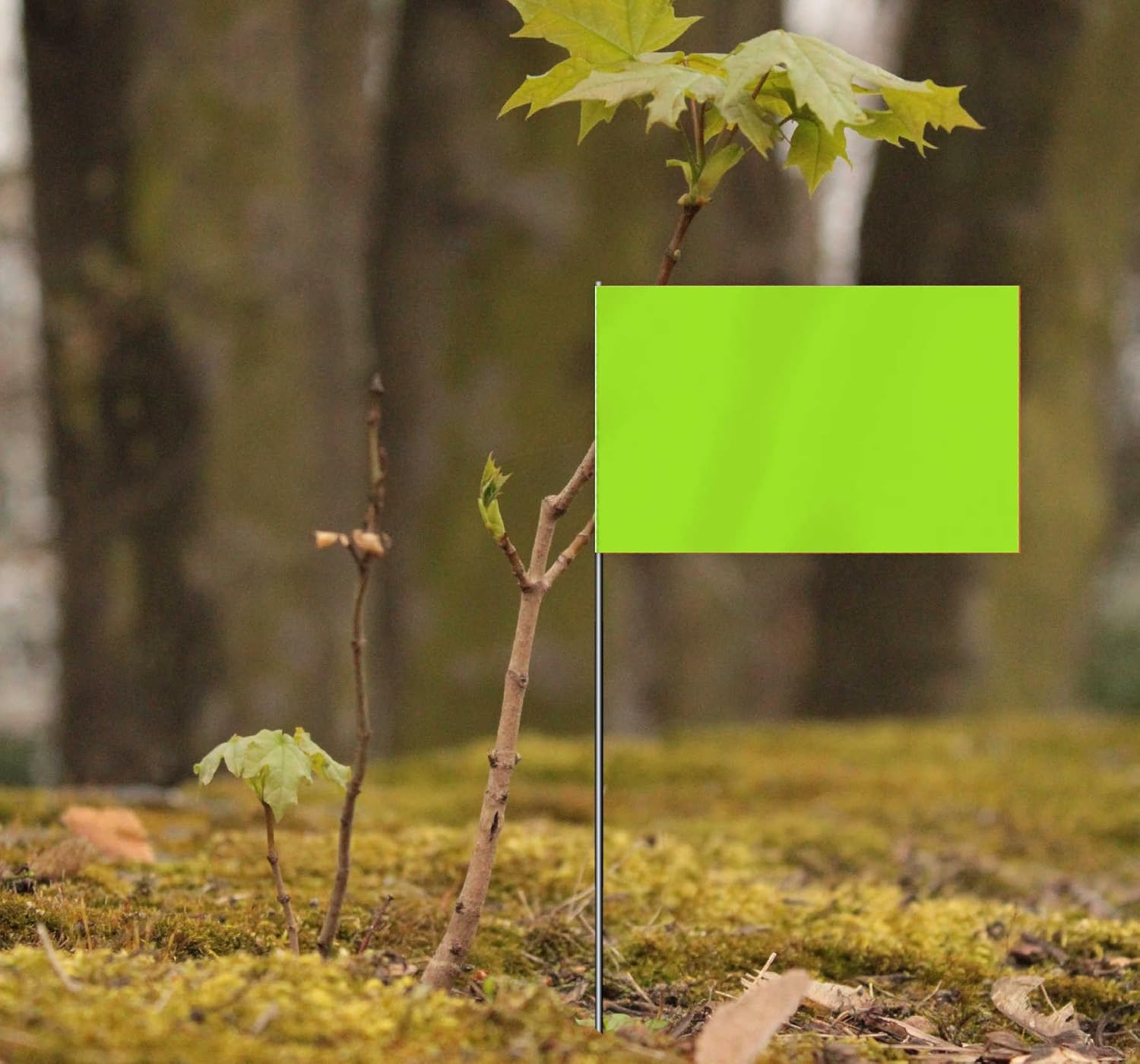 35 PCS Green Small Flag,15 Inch Steel Flagpole Mini Flag,Ground Marking Flags Decor,Petit Drapeau image number 1