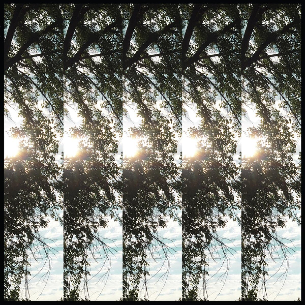 Dialectic of Ignorance (LP)