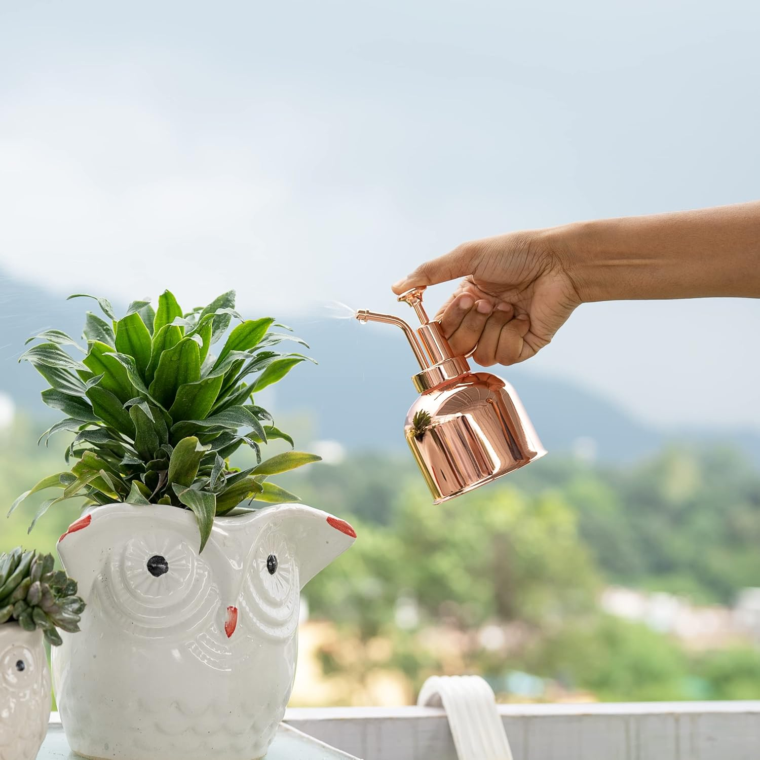 Indoor Watering Can Set - Bonus Mister Spray and Houseplants Book - 16 Oz Gold Long Spout Watering Can Set for Indoor Plants - Small Vintage Watering Can for Outdoor Plants - Modern Watering Can - Rose Gold image number 3