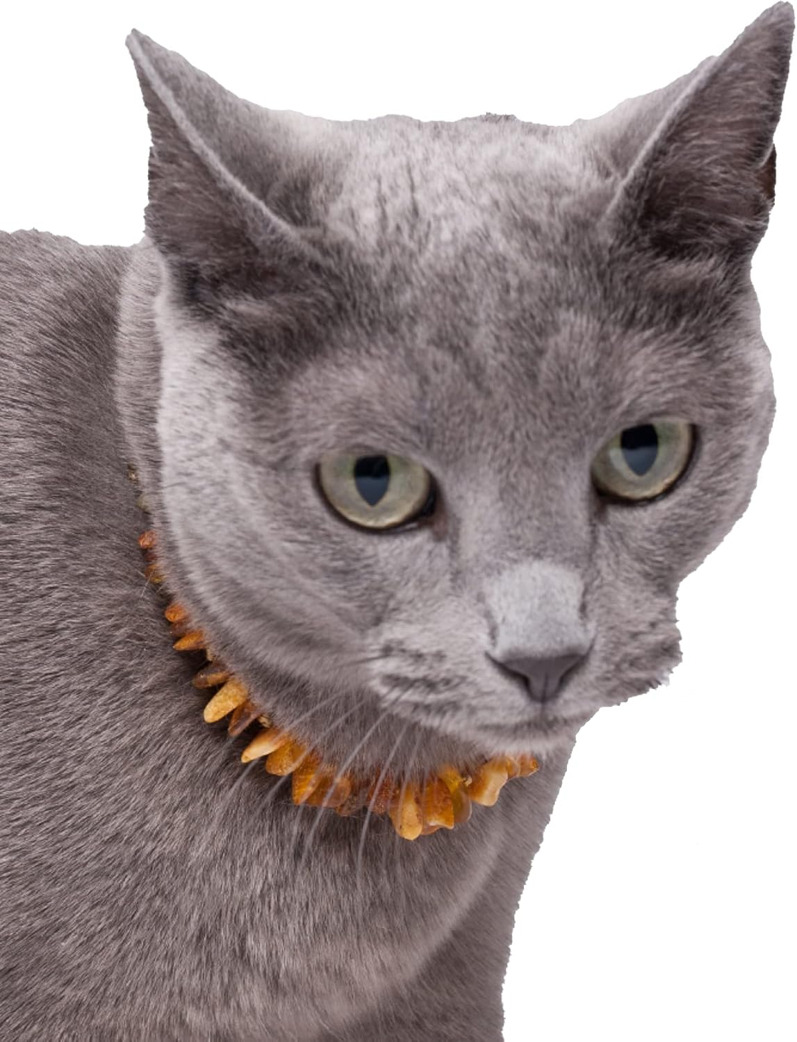 Amber Chain for Dogs, Amber Collar with Leather Strap, Tick Protection for Dogs, Fleas Dogs, Tick Protection Cat, Baltic Amber Raw image number 2