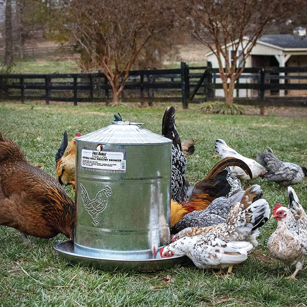 Harris Farms Chicken Waterer - Galvanized Steel - Double Wall Poultry Drinker - 2 Gallon image number 1
