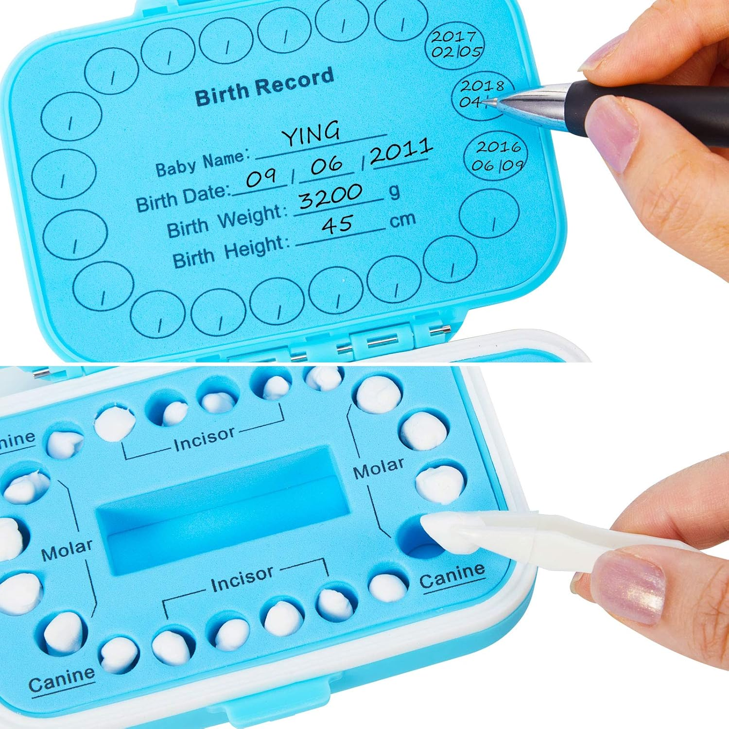 Jetec 2 Pieces Baby Teeth Keepsake Box PP Tooth Fairy Box Kids Tooth Storage Holder Organizer for Lost Teeth Cute Kids Deciduous Collection to Keep the Childhood Memory(Blue and Pink) image number 1