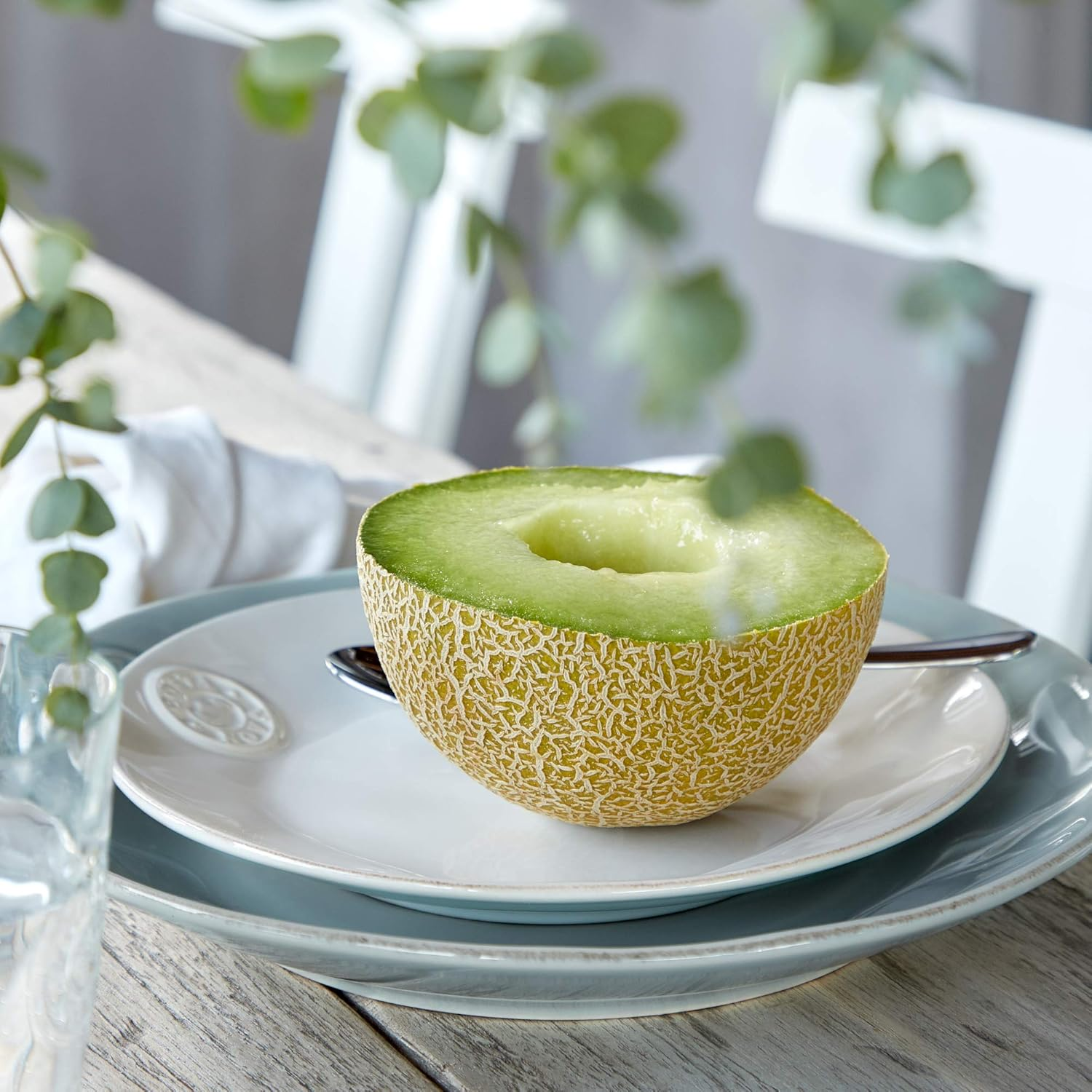 Costa Nova NOP216W Costa NOVA Plate, Salad Plate, Approx. 8.3 Inches (21 Cm), Nova White image number 1