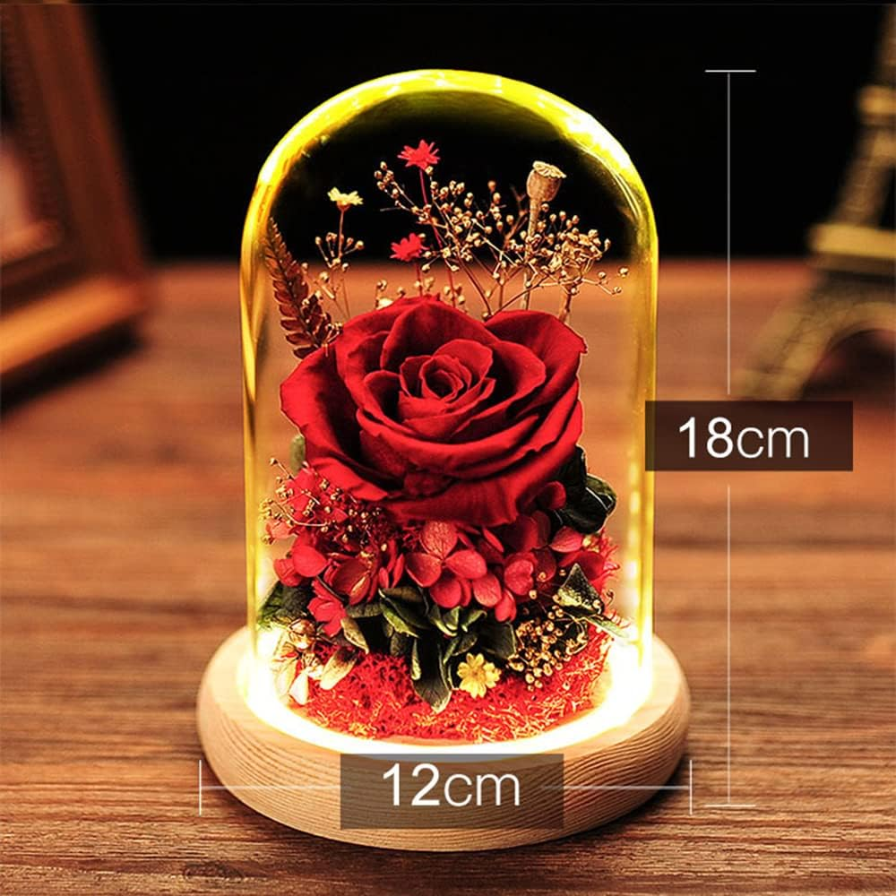Fizozi-Eternal Rose Gift Set in Glass Dome - Red | Preserved Rose with LED Light | Valentine'S Day Her | Romantic Home Decor | Long-Lasting Beauty (Red)