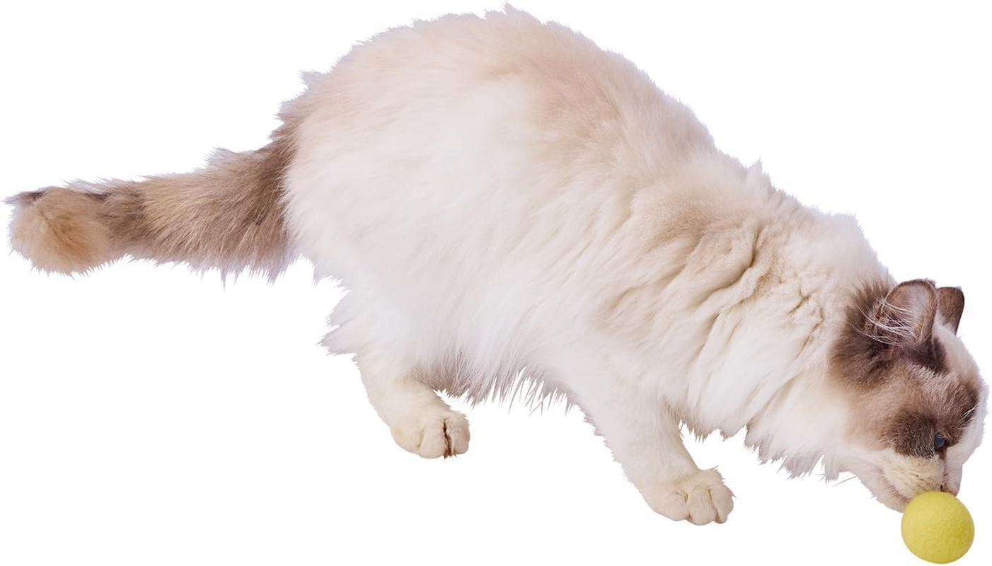 ADD. Mate Happiness Cat Wool Ball Mini Cat Toy, Set of 4 image number 6