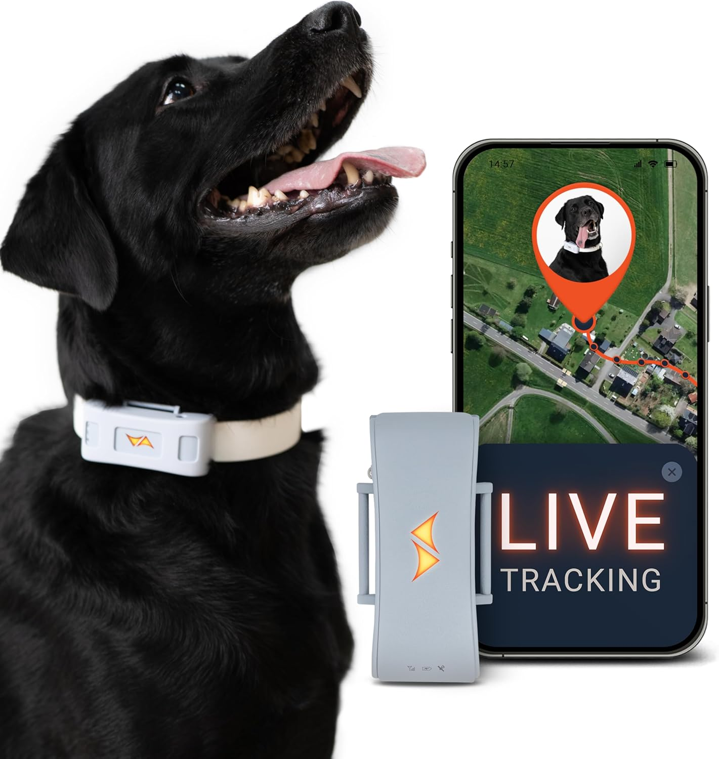 PAJ PET Tracker for Dogs - Worldwide Live Tracking + Health Monitoring + Runaway Alerts - up to 10 Days Battery Saver - Glowing LED Cases - Waterproof (IP67) - Fits Any Collar - Black