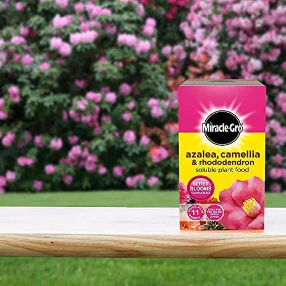 Miracle-Gro 16801 Plant Food Fertiliser, 500G, Azalea and Camellia image number 2