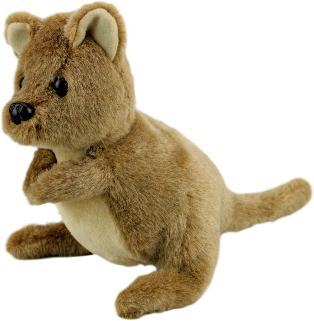 Elka Australia 14063 Quokka Soft Plush Toy, 16 Centimeters image number 1