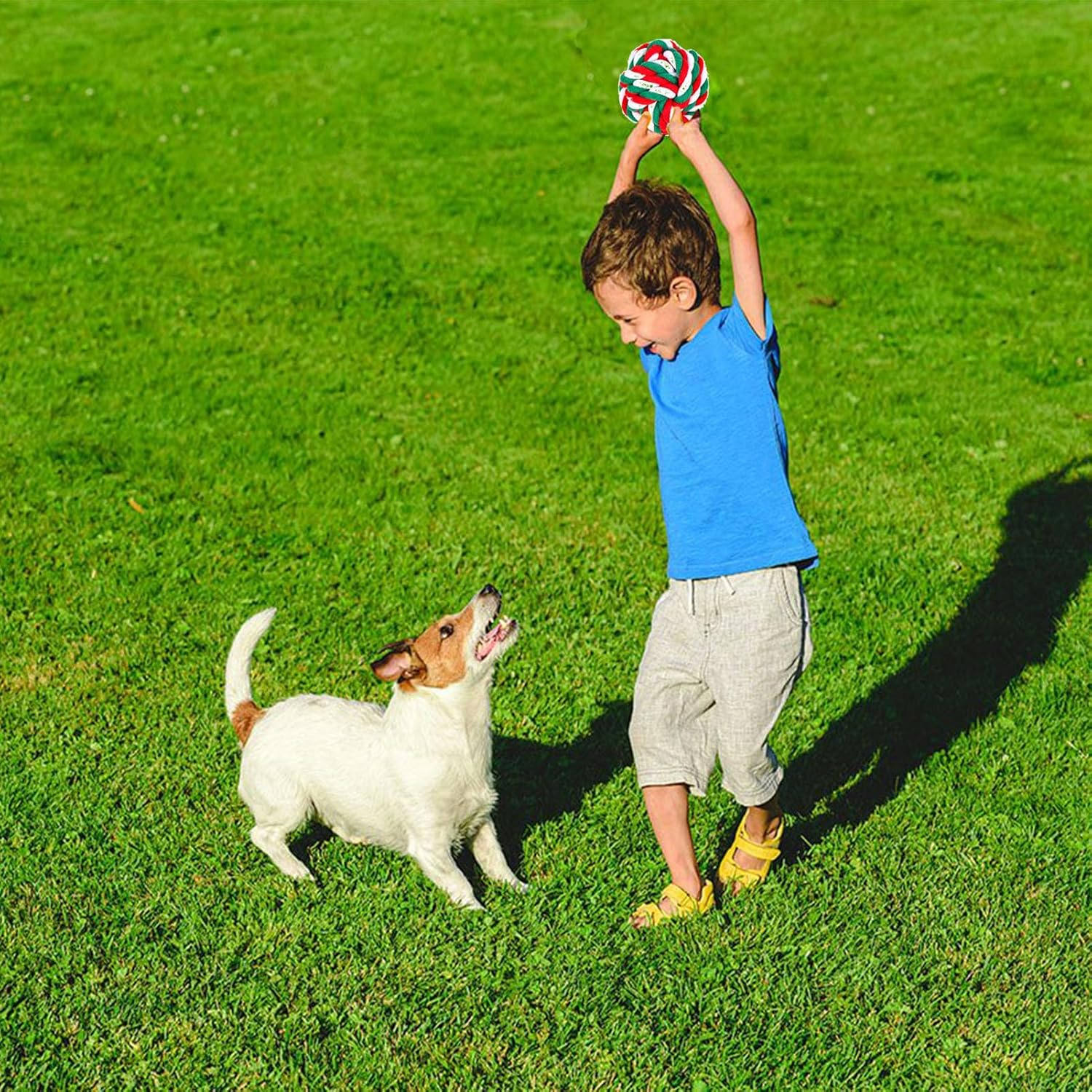 Flirt Pole for Dogs,Foldable Firt Pole,Dog Flirt Pole with 6 Chew Toy,Outdoor or Indoor Dog Rope Toy,Dog Tug of War Toy for Large,Medium,Small Dogs image number 1