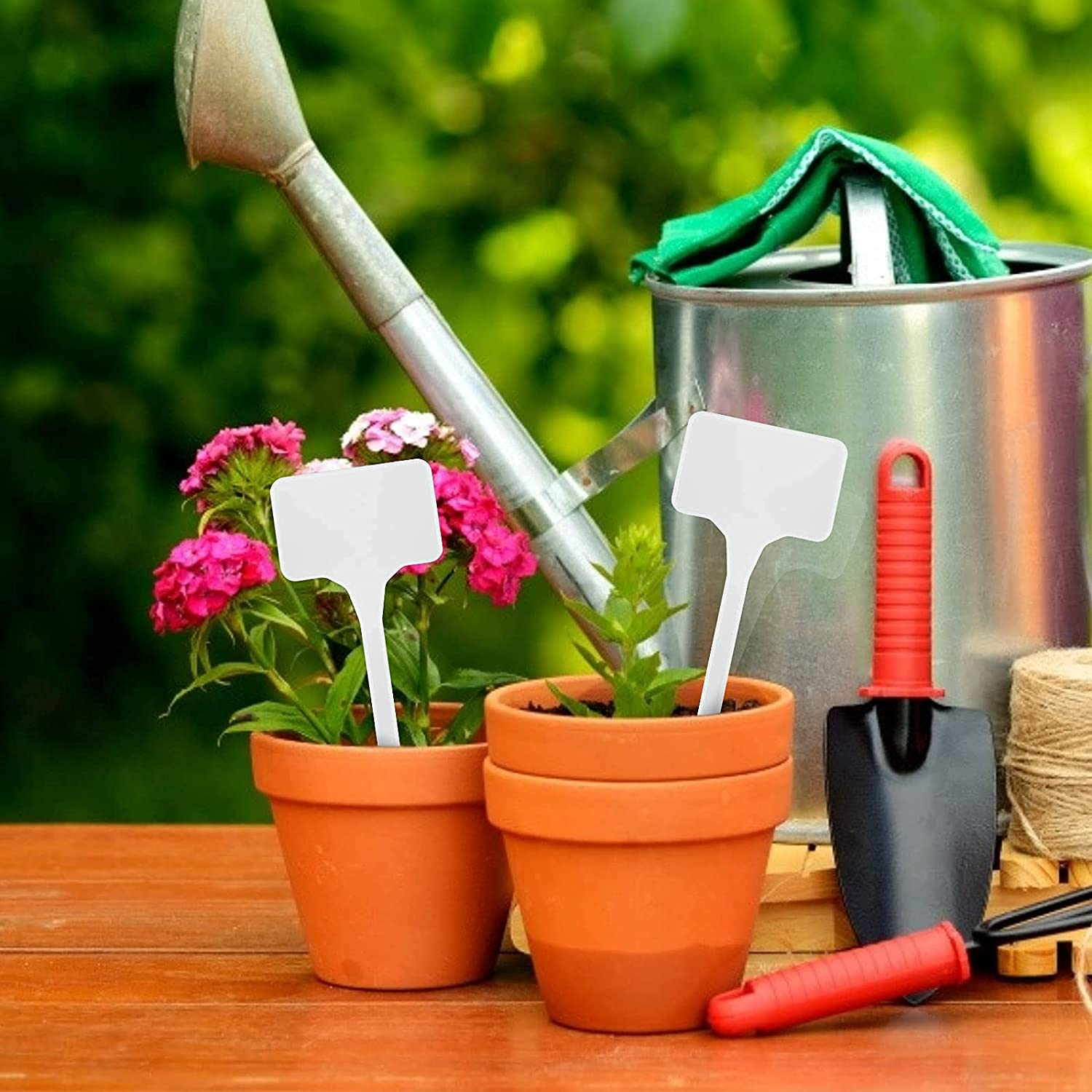 KINGLAKE GARDEN Large Plastic Plant Labels 6 Inch 50 Pack White Sturdy Extra Large T-Style Plastic Plant Labels for Flower Beds,Plant Pots image number 4