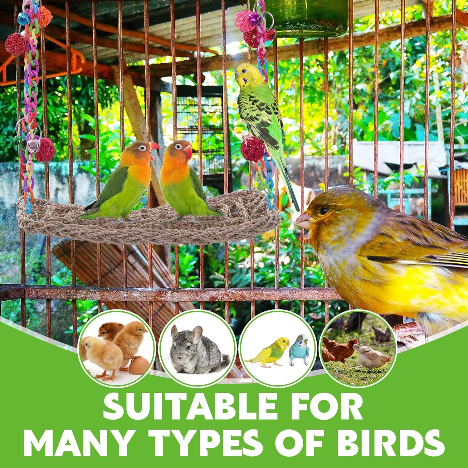 MABOZOO Chicken Swing Toy, Chicken Perch Seagrass Woven Hammock Swing Mat Climbing Hammock with Wood Perch Stand, Bird Swing Toy for Hens Chicken Bird Budgie image number 2