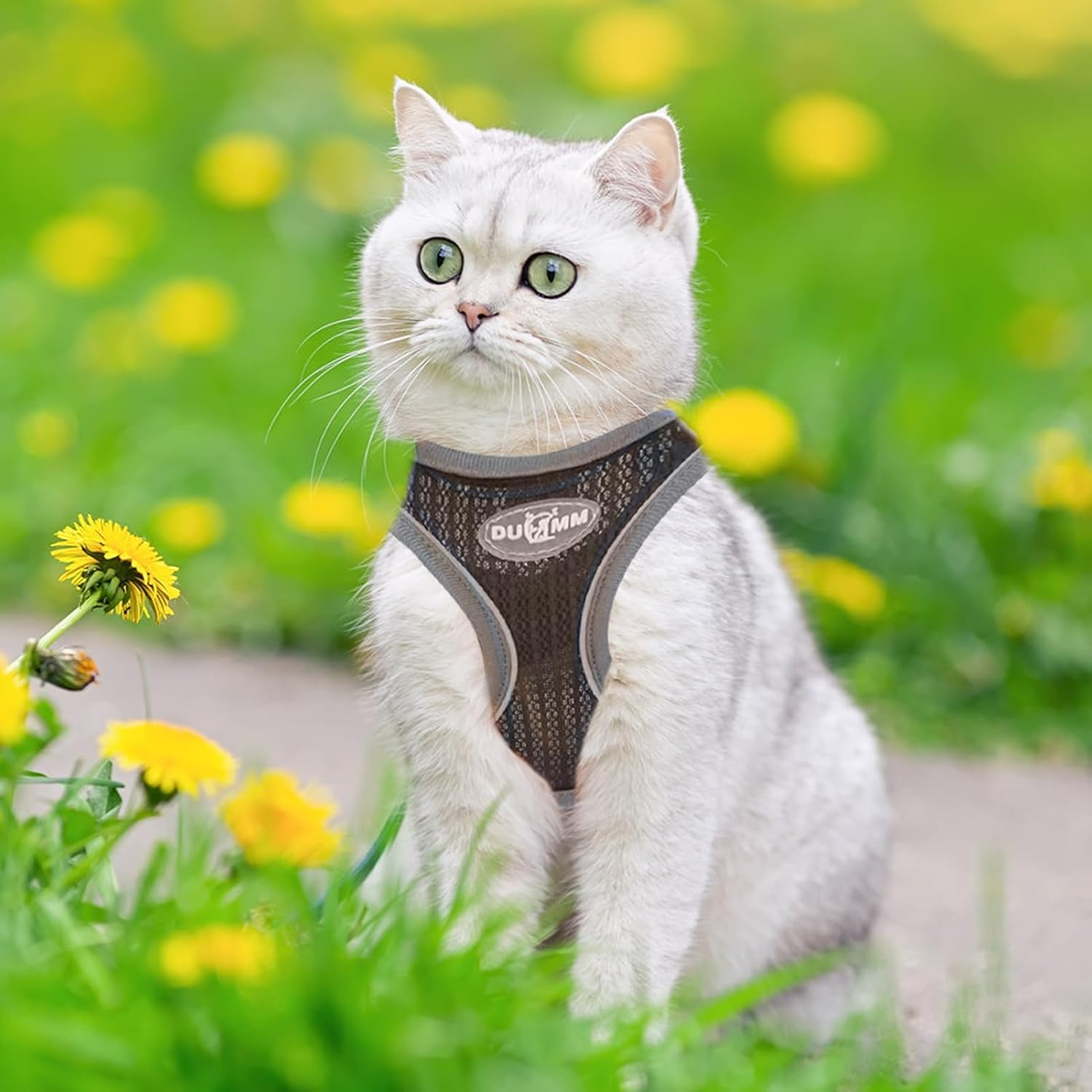 Cat Harness with Lead, Escape Proof, Adjustable Cat Harness, Cat Harness, Soft Inner Lining and Breathable Mesh with Reflective for Outdoor Training, Walking (Black, XS) image number 6