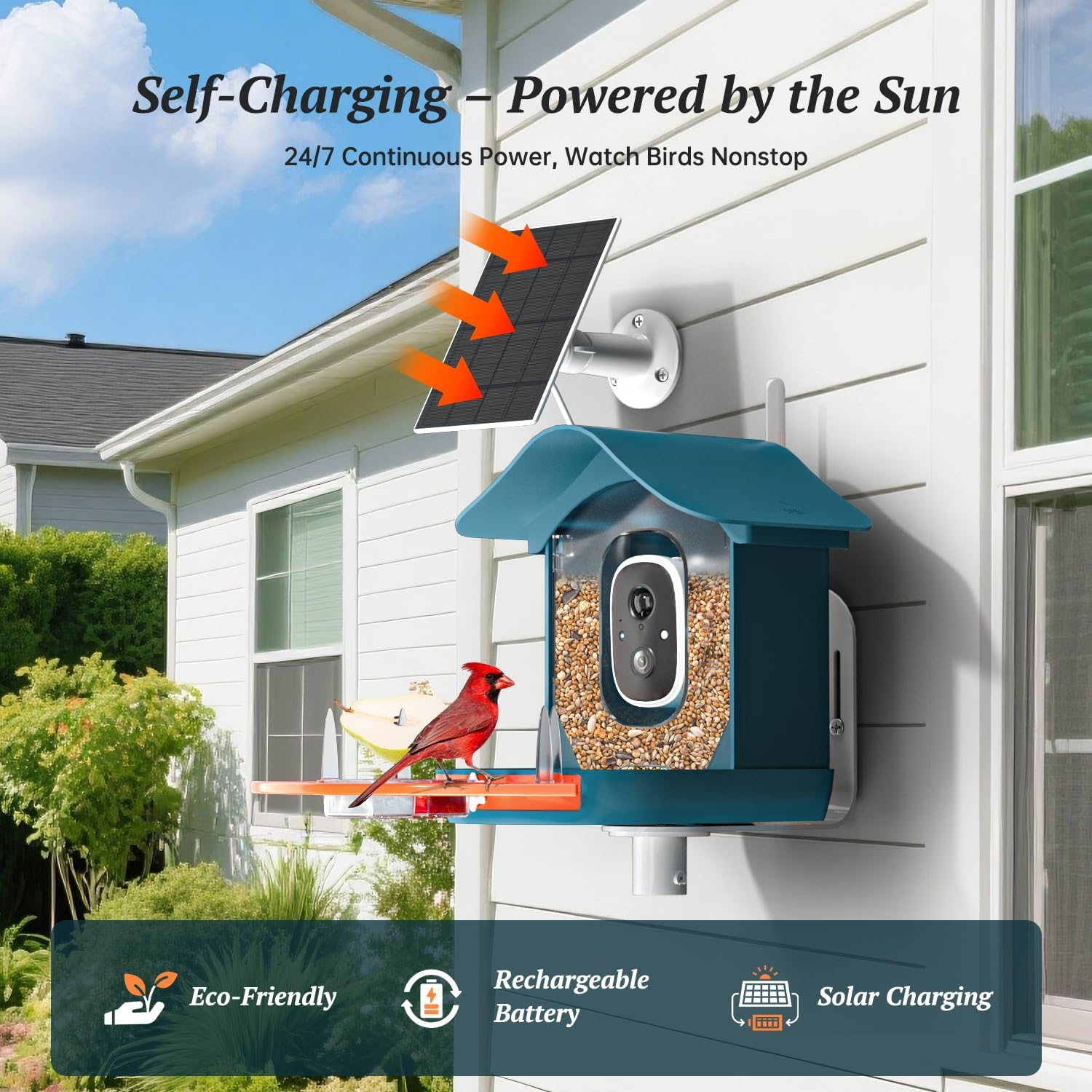 DOCOON Smart Bird Feeder with Camera, 2K HD AI Identify Bi RDS Species, Bird Watching Camera with Solar Panel, Auto Capture Bi Rd Videos & Instant Notifications, Ideal Present for Bi Rd Lover - A-Blue image number 4