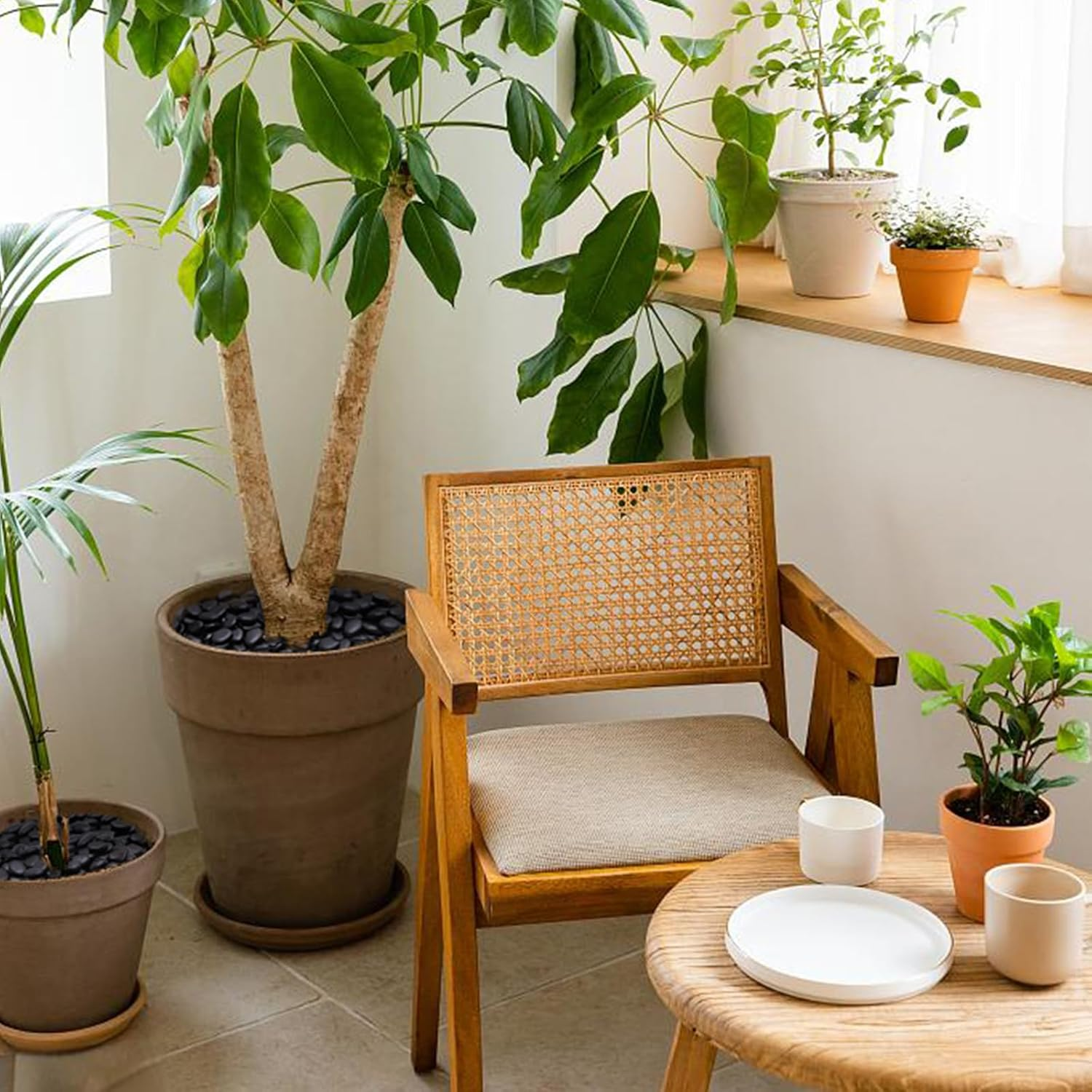 Calofulston 2.2LB Black Rock, Small River Stones Pebbles for Plants, Vases, Landscaping, Highly Polished Decorative Rocks, 1-1 3/4 Inch image number 4