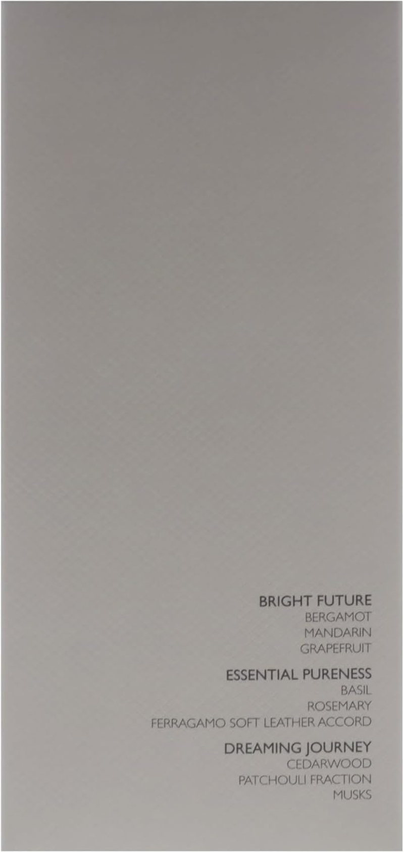 Bright Leather by Salvatore Ferragamo for Men - 3.4 Oz EDT Spray image number 4