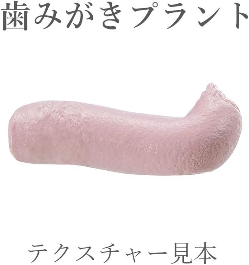 WELEDA Ratanhia Toothpaste 75Ml | Fluoride-Free | Minty Taste | Strengthen Sore Bleeding Gums | Vegan image number 2