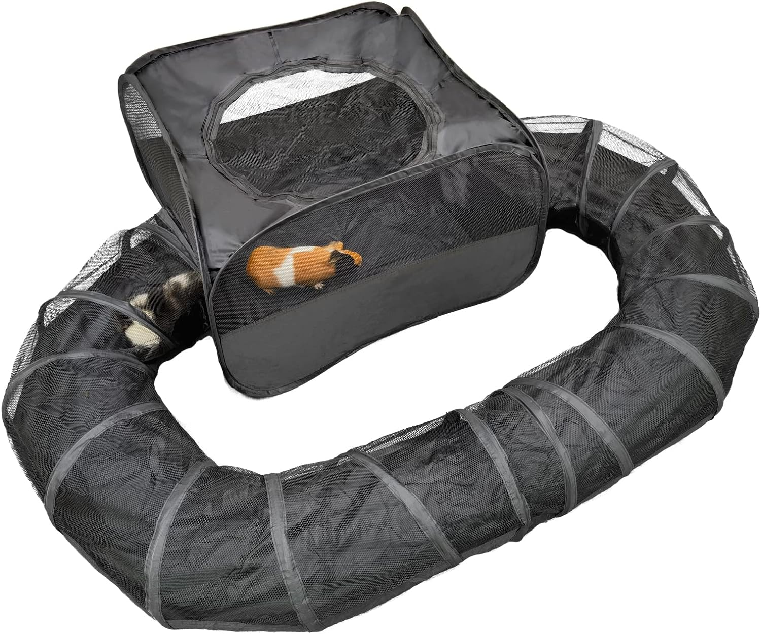 Guinea Pigs Playpen with Surround Tunnel,Pop Open Tent with Tube for Dwarf Rabbits,Chinchilla,Ferret and Other Small Animals to Run and Exercise Indoor or Outdoor (Playpen with Tunnel) image number 4