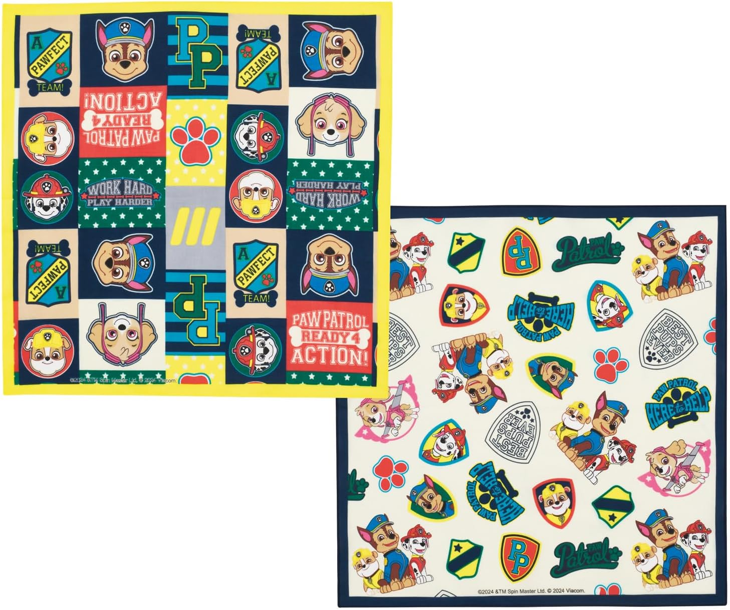 Skater PSB5SANAG-A Paw Patrol Water Bottle, 16.2 Fl Oz (480 Ml), for Kids, Antibacterial, Plastic, Kid-Friendly Lightweight, Made in Japan