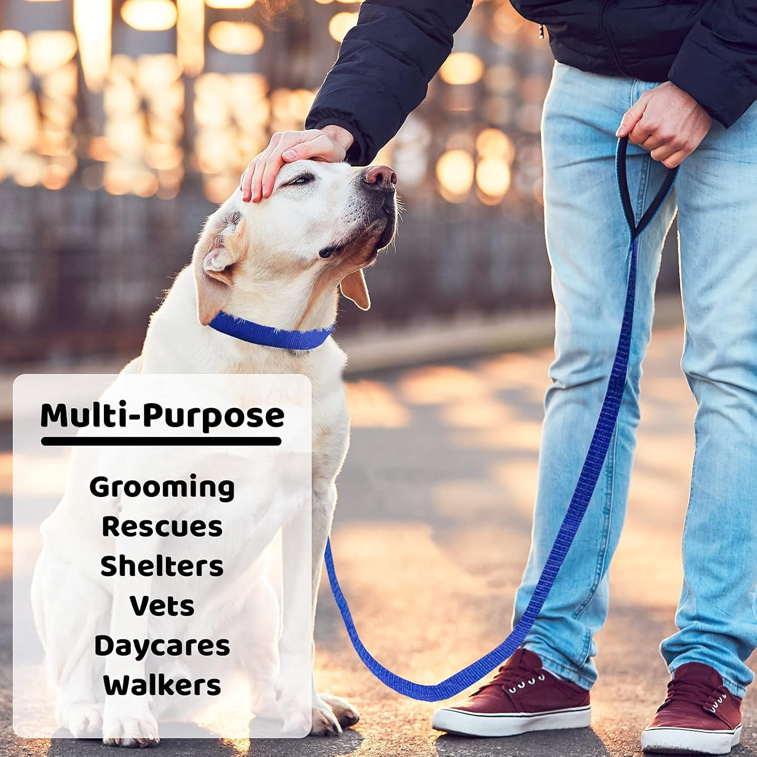 Downtown Pet Supply - 6Ft Dog Kennel Slip Lead - Veterinarian, Grooming, Daycare & Rescue Supplies - One Size Leads for Dogs Bulk - 1" Thick 24 Pack image number 5